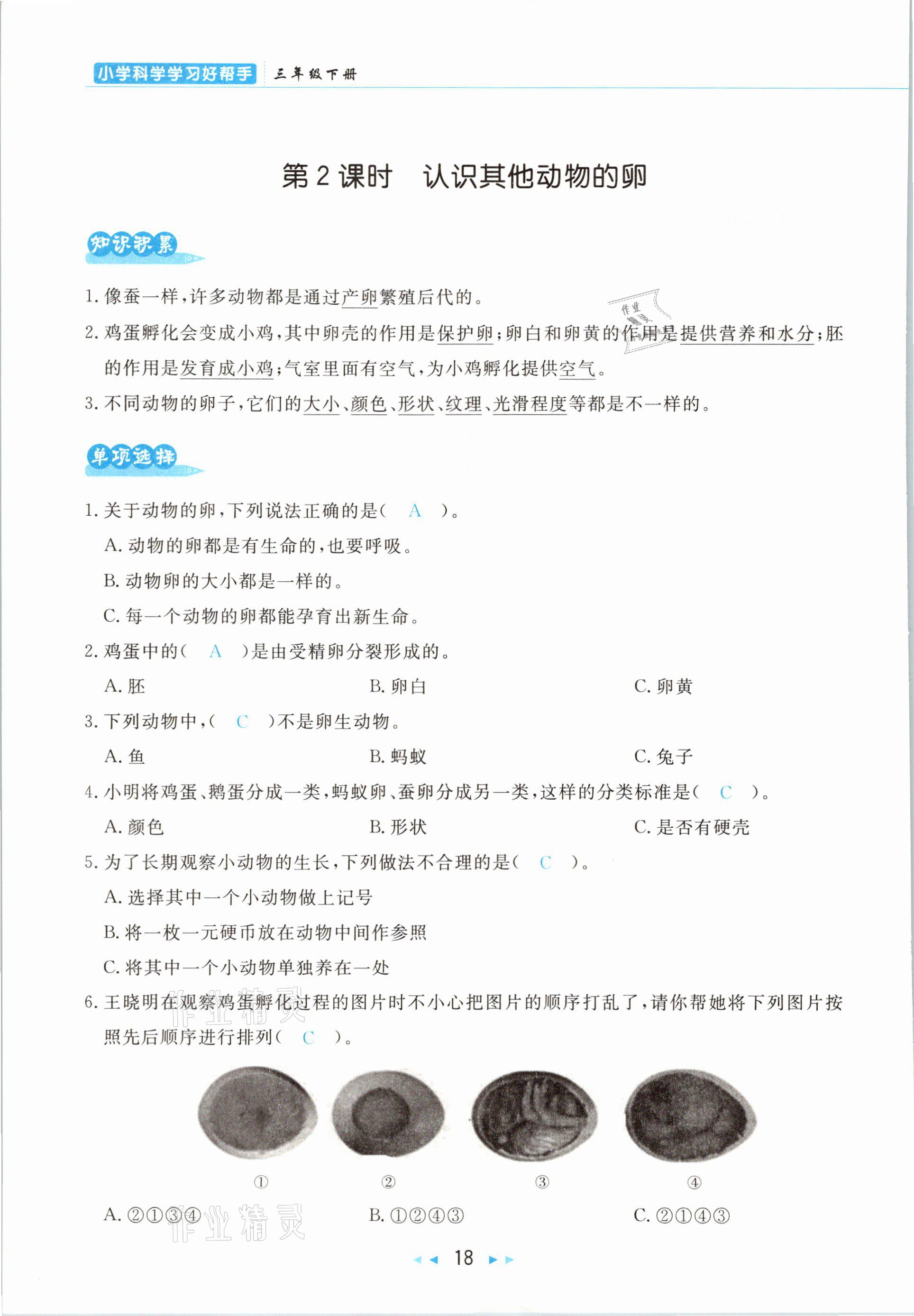 2021年小學(xué)科學(xué)學(xué)習(xí)好幫手三年級下冊教科版 參考答案第18頁