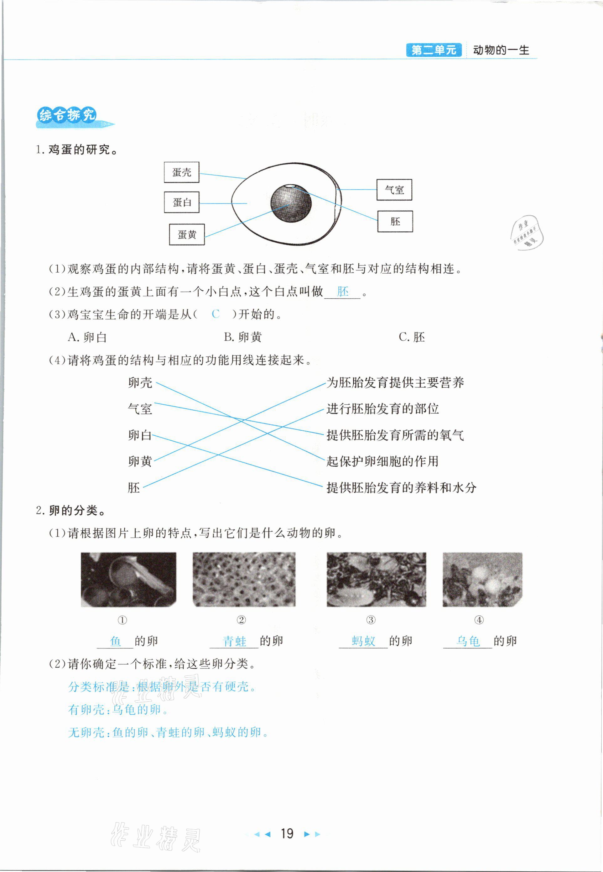 2021年小學(xué)科學(xué)學(xué)習(xí)好幫手三年級下冊教科版 參考答案第19頁