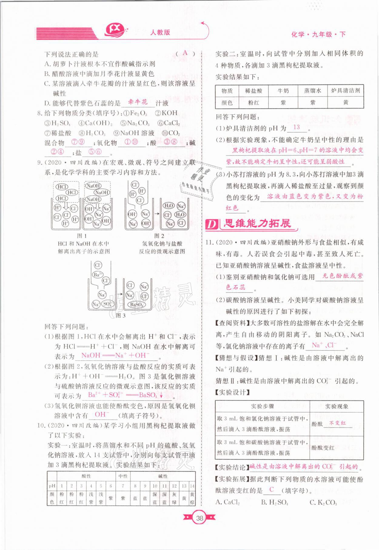 2021年赢在新课堂九年级化学下册人教版江西专版 参考答案第38页