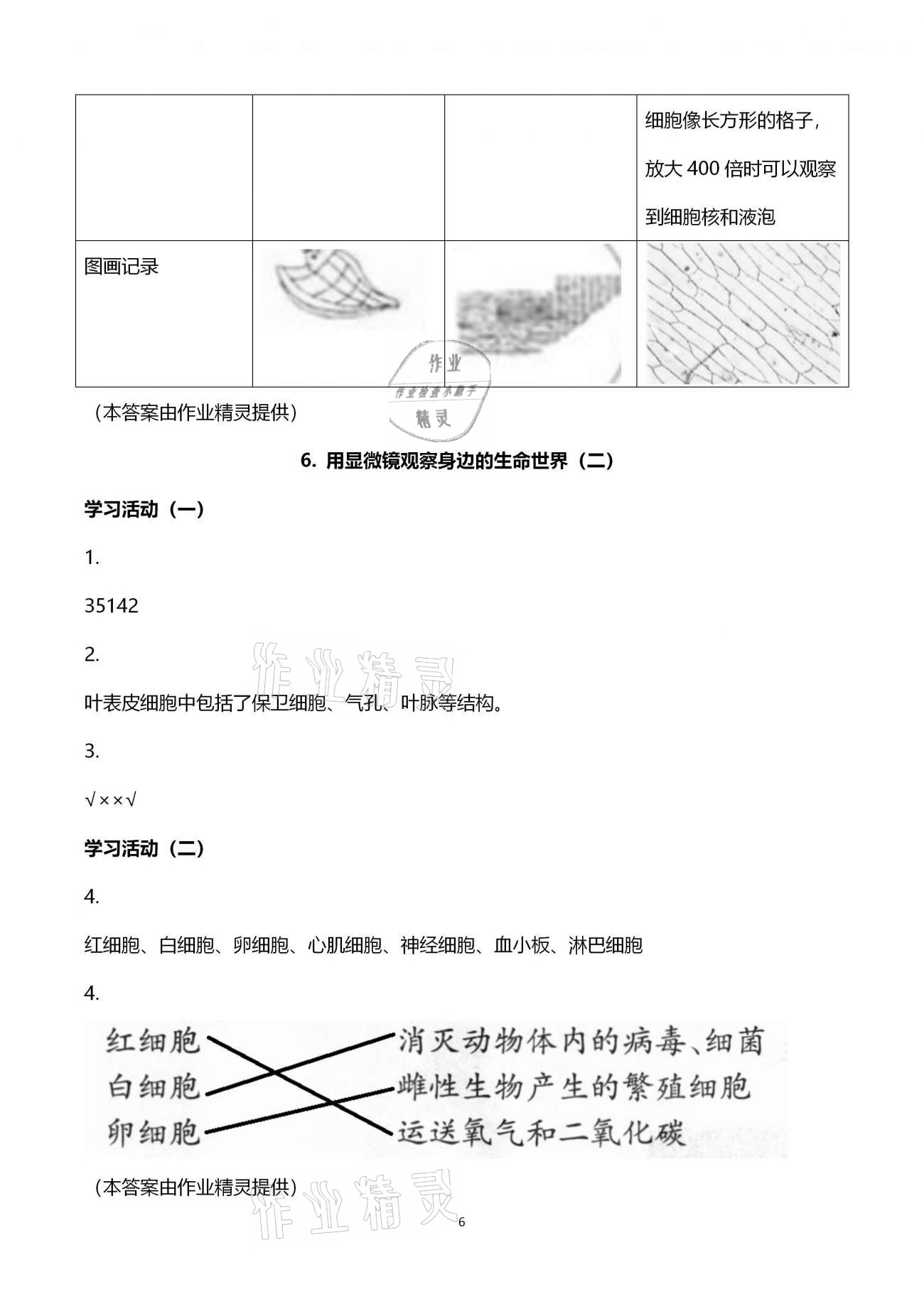 2021年同步練習(xí)六年級(jí)科學(xué)下冊(cè)教科版升級(jí)版浙江教育出版社 第6頁(yè)