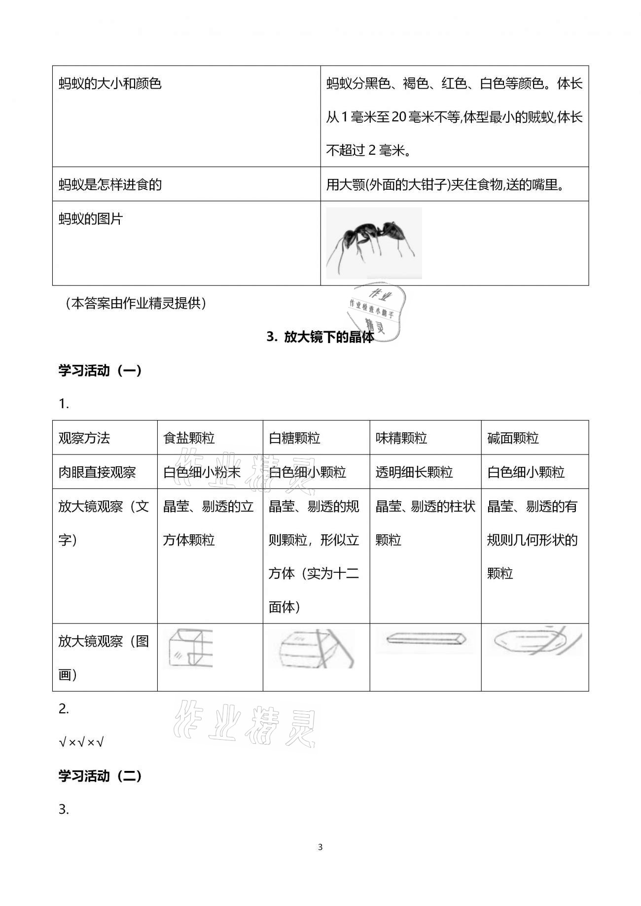 2021年同步練習六年級科學下冊教科版升級版浙江教育出版社 第3頁