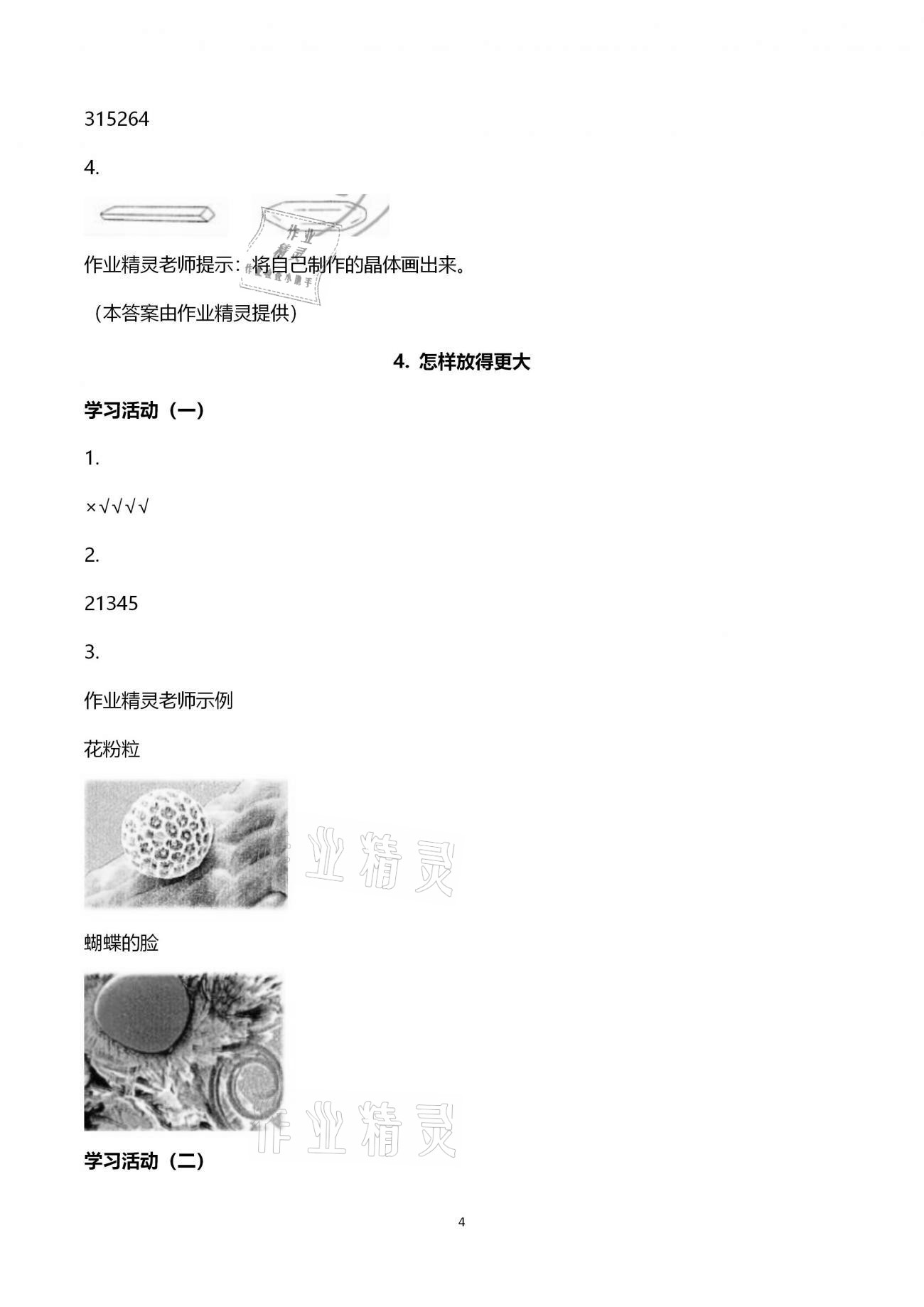 2021年同步練習(xí)六年級科學(xué)下冊教科版升級版浙江教育出版社 第4頁