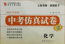2021年中考仿真試卷化學吉林專版