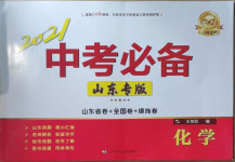 2021年中考必備化學(xué)山東專版遼寧師范大學(xué)出版社