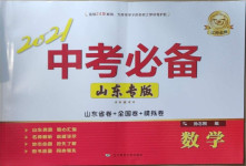 2021年中考必備數(shù)學(xué)山東專版遼寧師范大學(xué)出版社