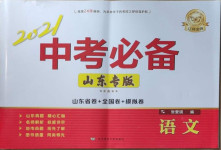 2021年中考必備語(yǔ)文山東專版遼寧師范大學(xué)出版社