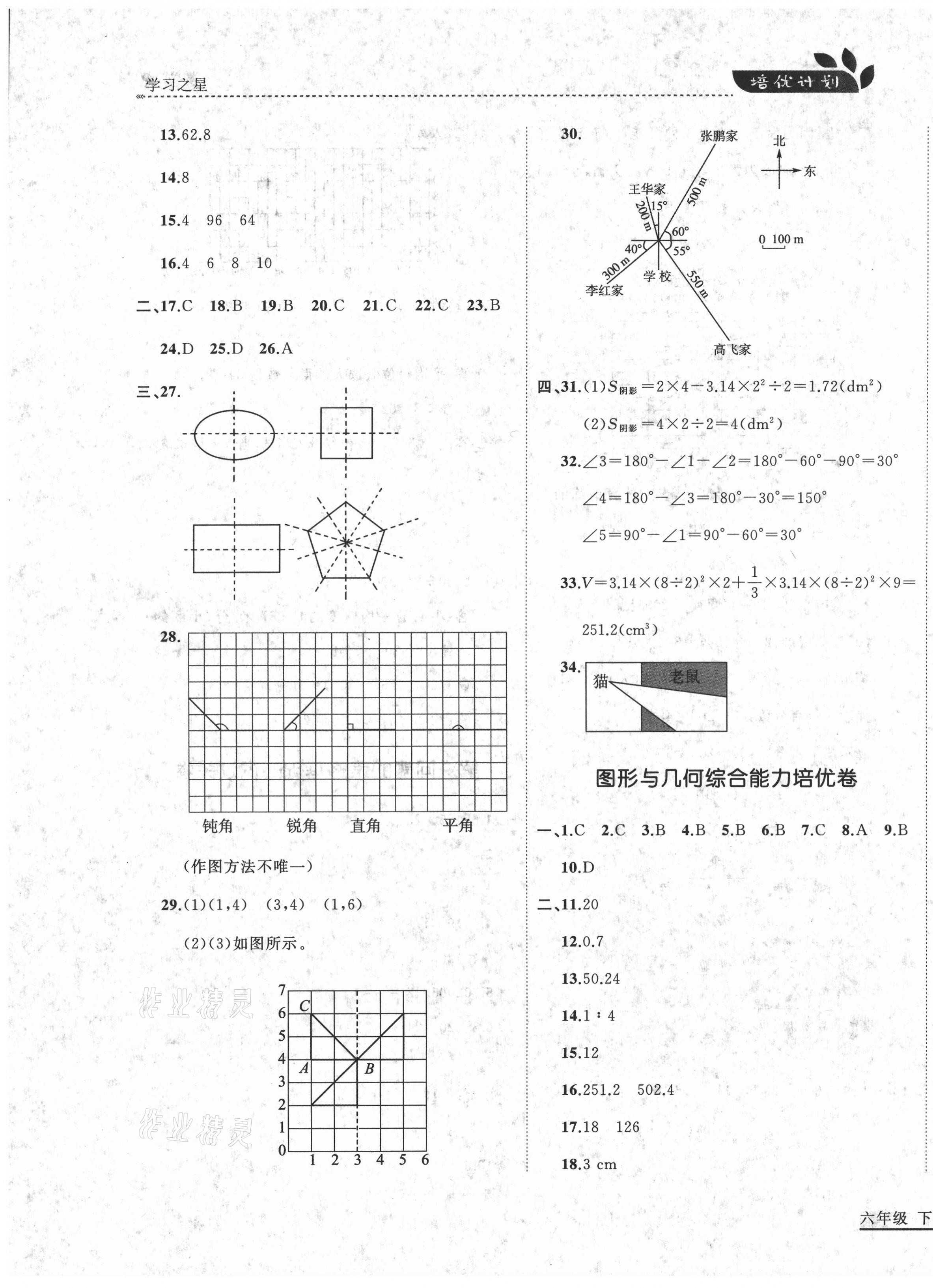 2021年培優(yōu)計(jì)劃六年級(jí)數(shù)學(xué)下冊(cè)北師大版延邊大學(xué)出版社 第13頁(yè)