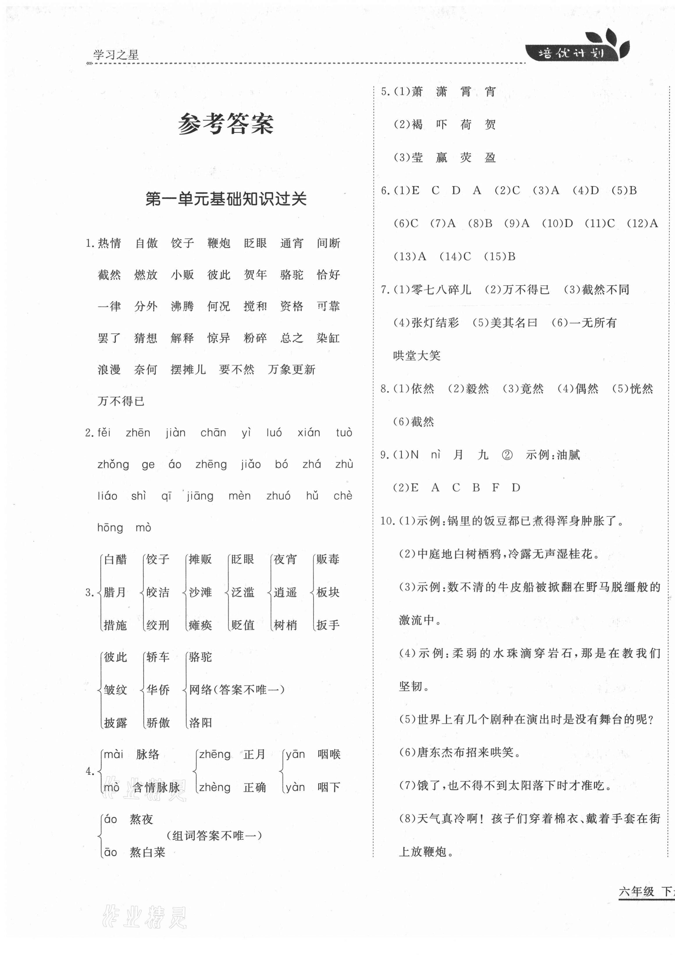 2021年培優(yōu)計劃六年級語文下冊人教版延邊大學(xué)出版社 第1頁