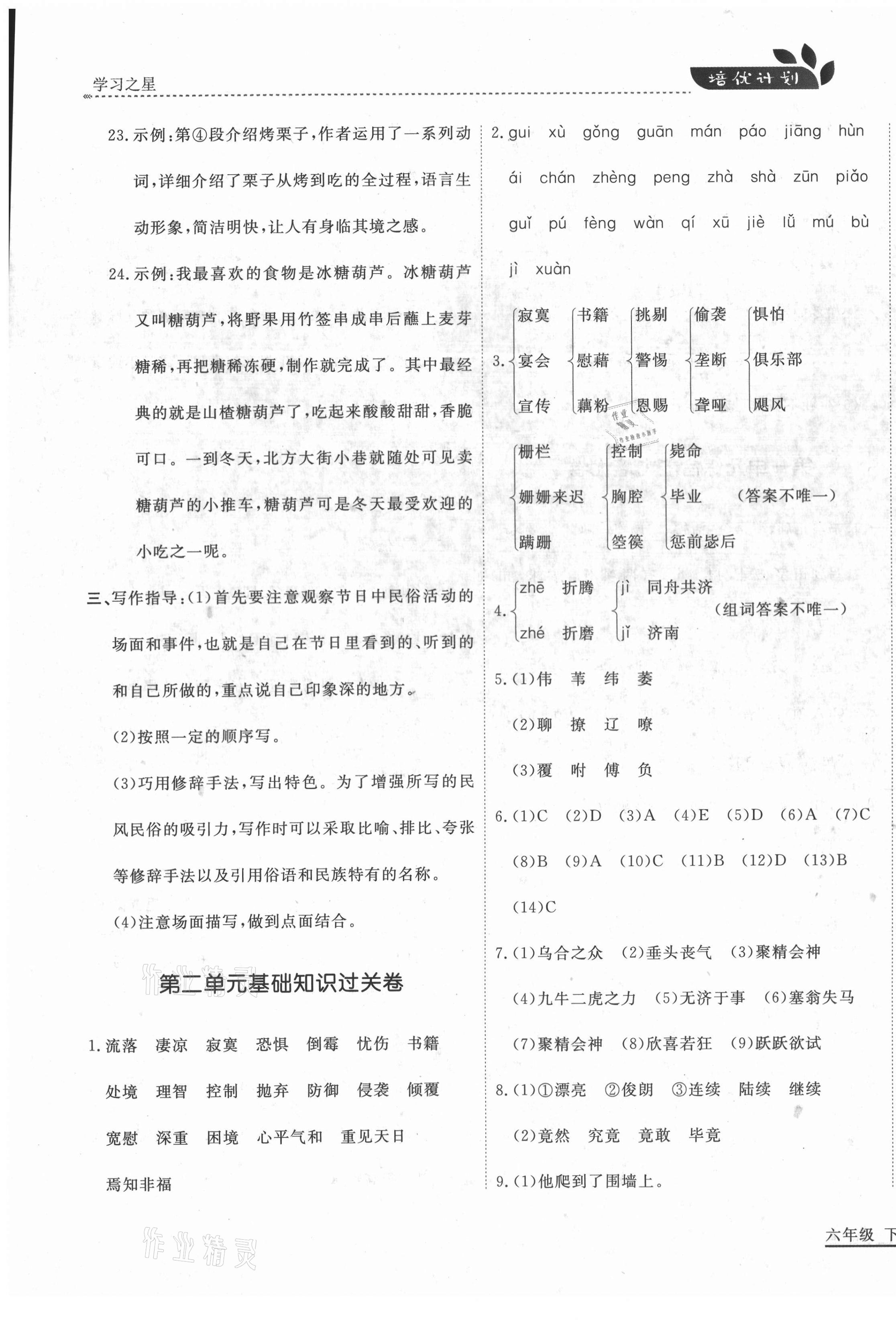 2021年培優(yōu)計劃六年級語文下冊人教版延邊大學出版社 第3頁