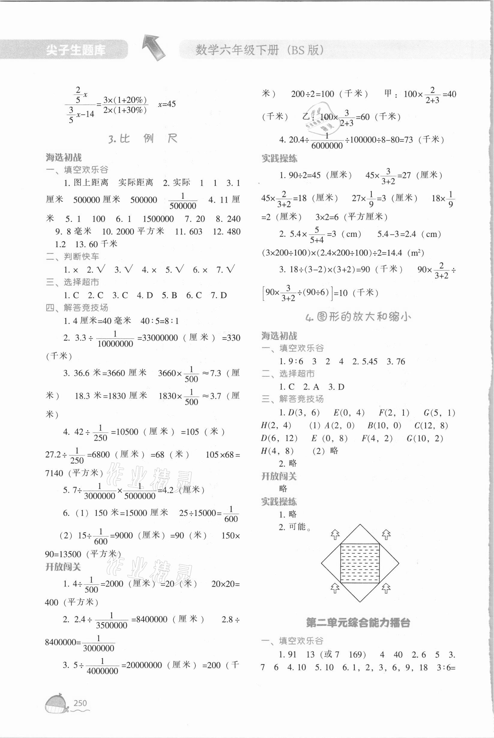 2021年尖子生題庫六年級數(shù)學(xué)下冊北師大版 第6頁