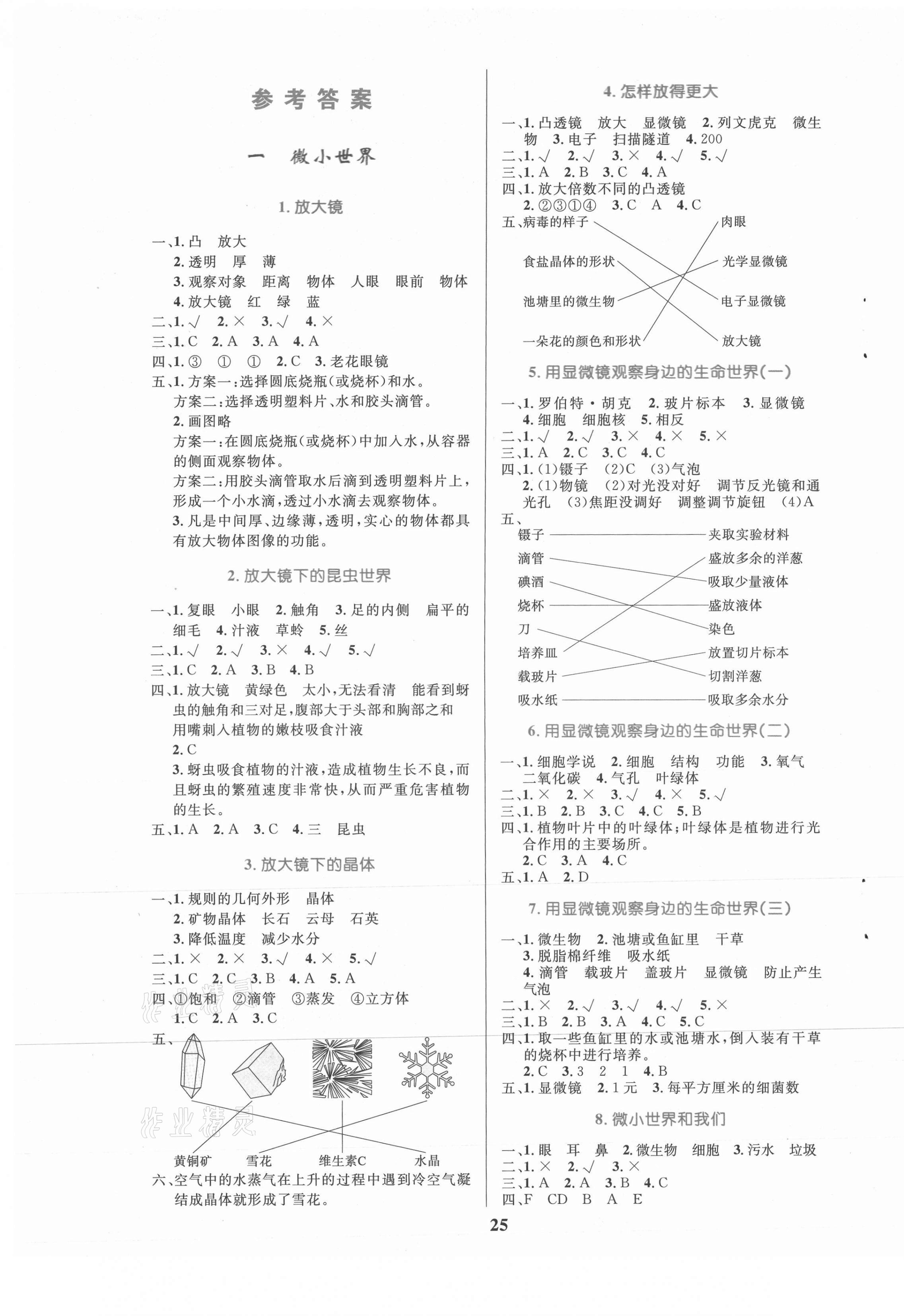 2021年全優設計超人天天練六年級科學下冊教科版 第1頁