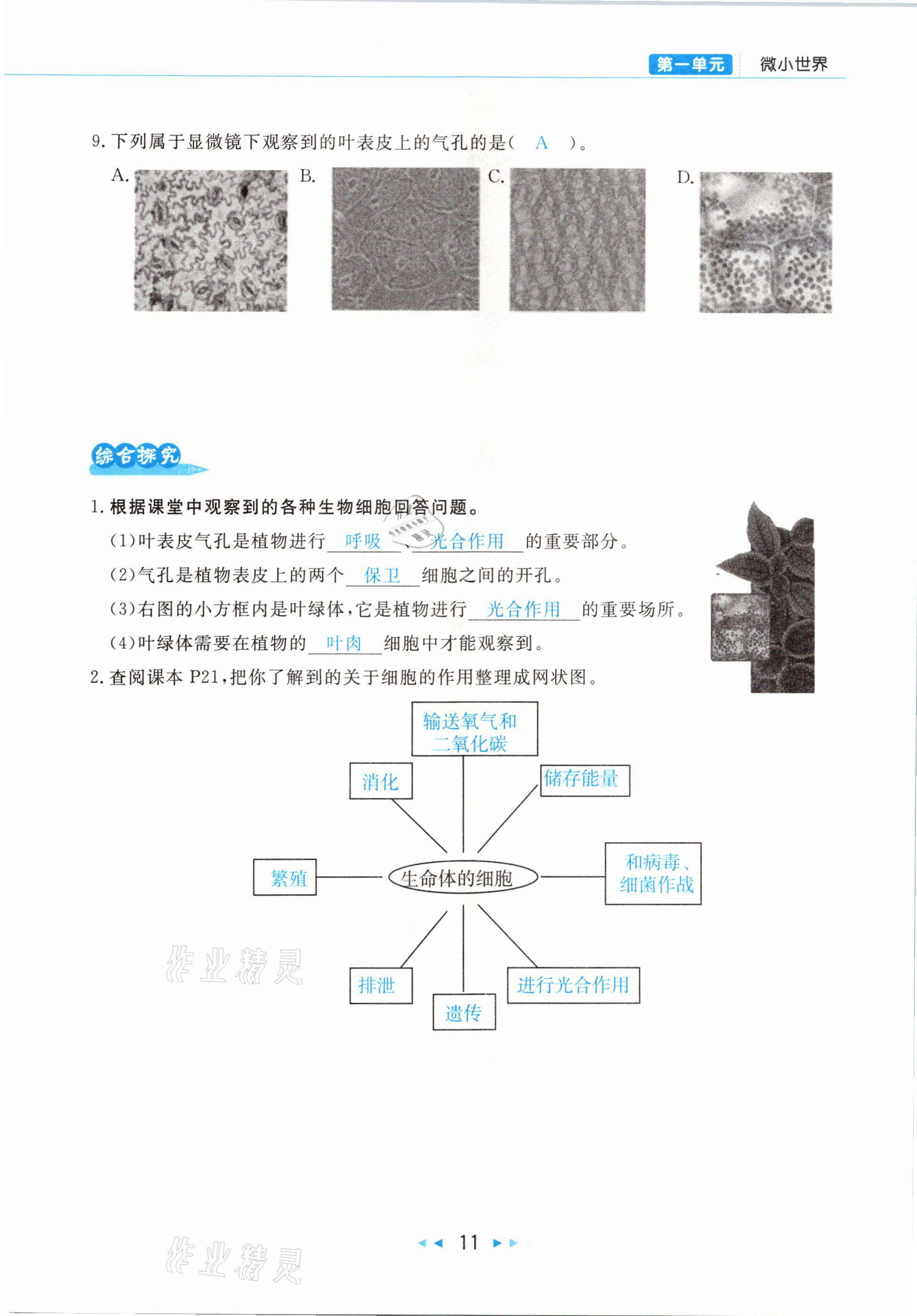 2021年小学科学学习好帮手六年级下册教科版 参考答案第11页