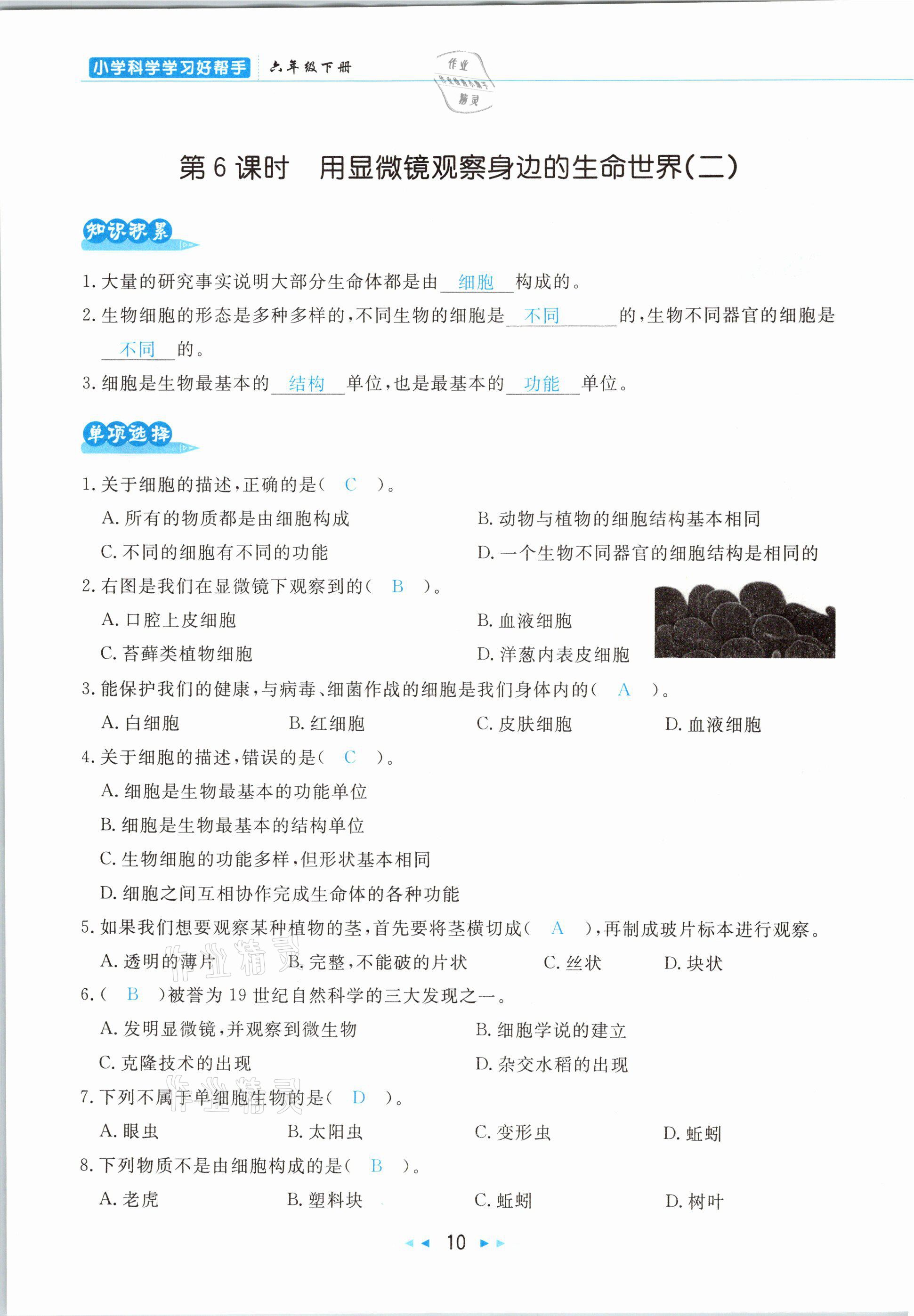 2021年小学科学学习好帮手六年级下册教科版 参考答案第10页