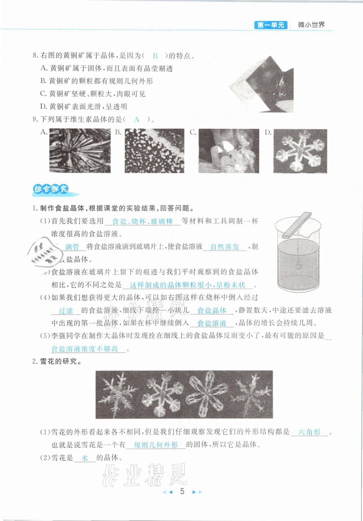 2021年小學(xué)科學(xué)學(xué)習(xí)好幫手六年級(jí)下冊(cè)教科版 參考答案第5頁(yè)