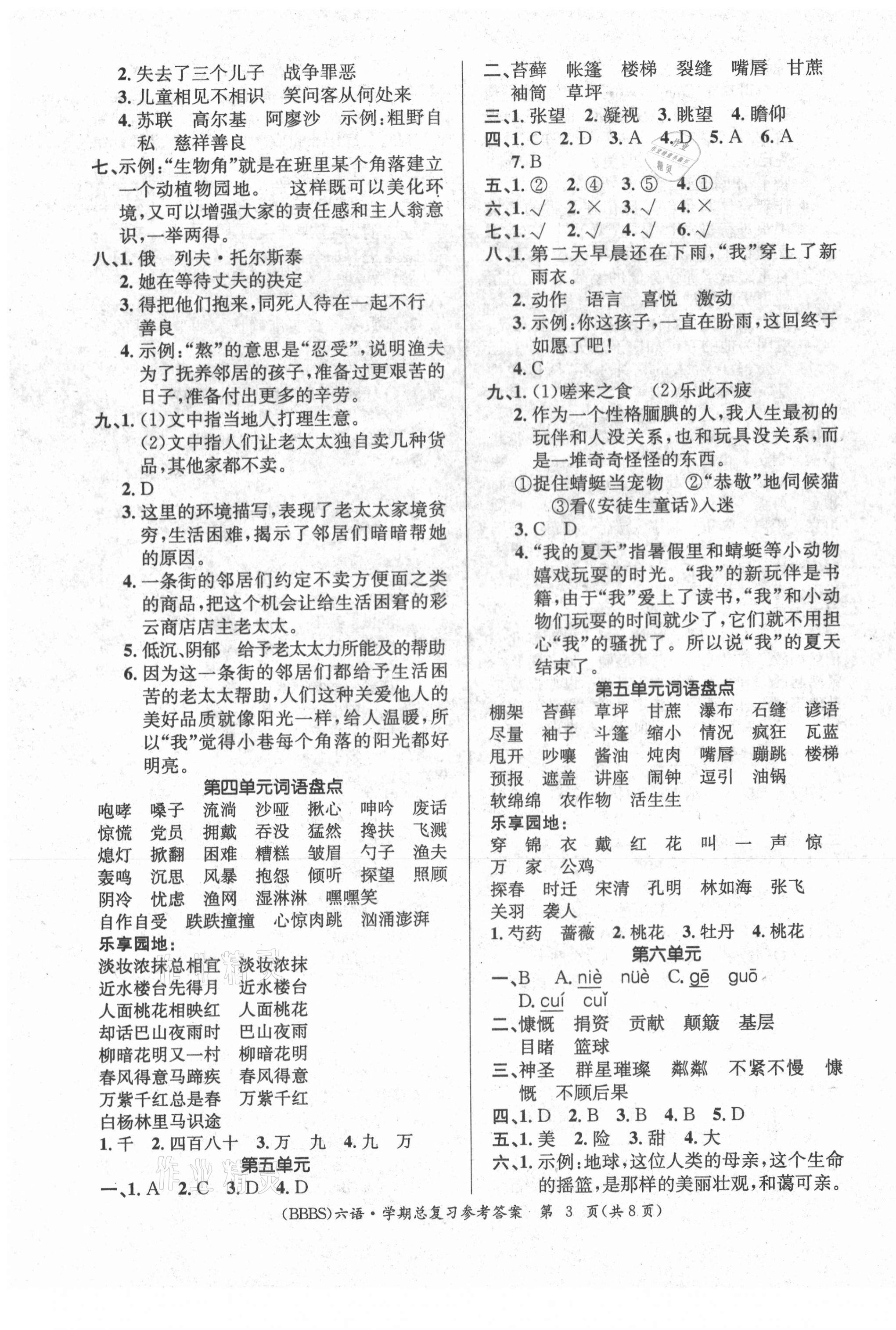 2021年優(yōu)生樂(lè)園寒假作業(yè)六年級(jí)語(yǔ)文人教版 第3頁(yè)