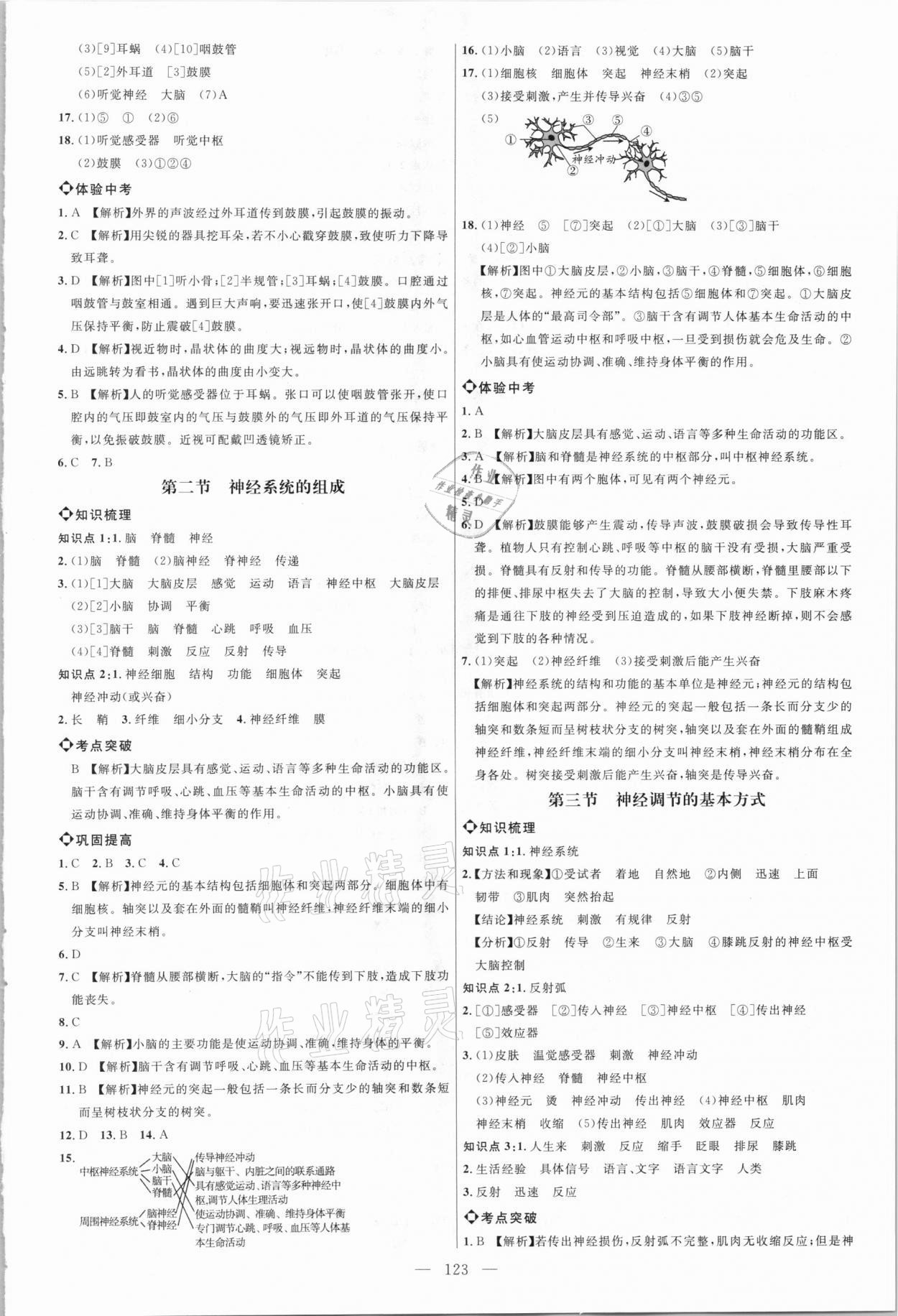 2021年细解巧练七年级生物下册鲁科版54制 参考答案第2页