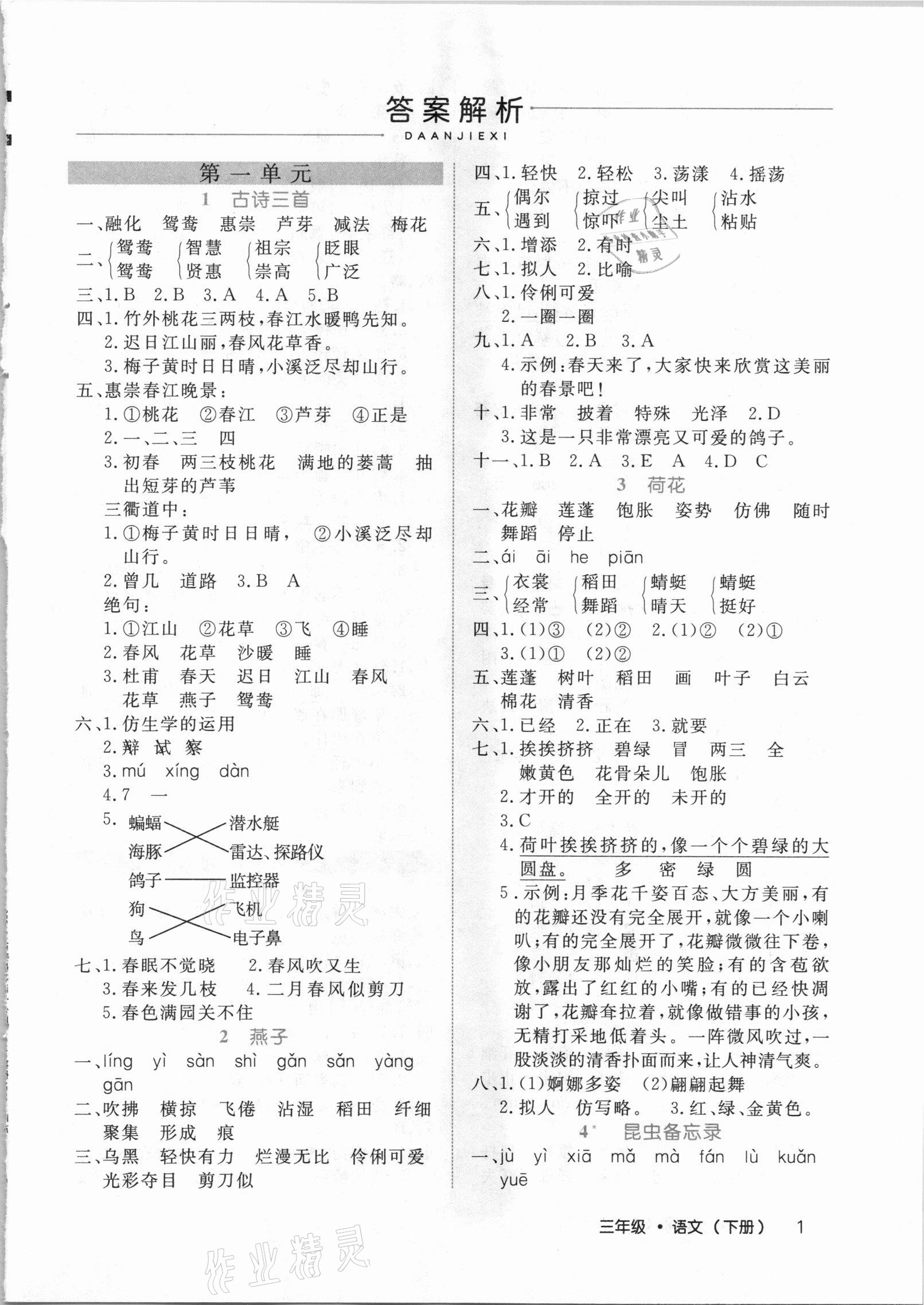 2021年细解巧练三年级语文下册人教版54制 参考答案第1页