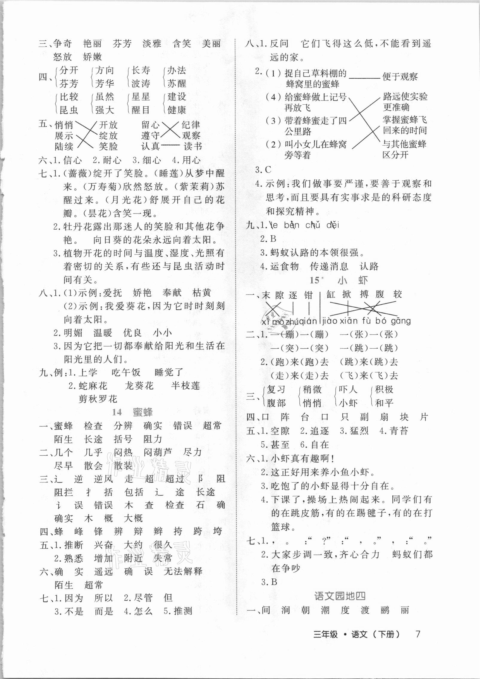 2021年细解巧练三年级语文下册人教版54制 参考答案第7页