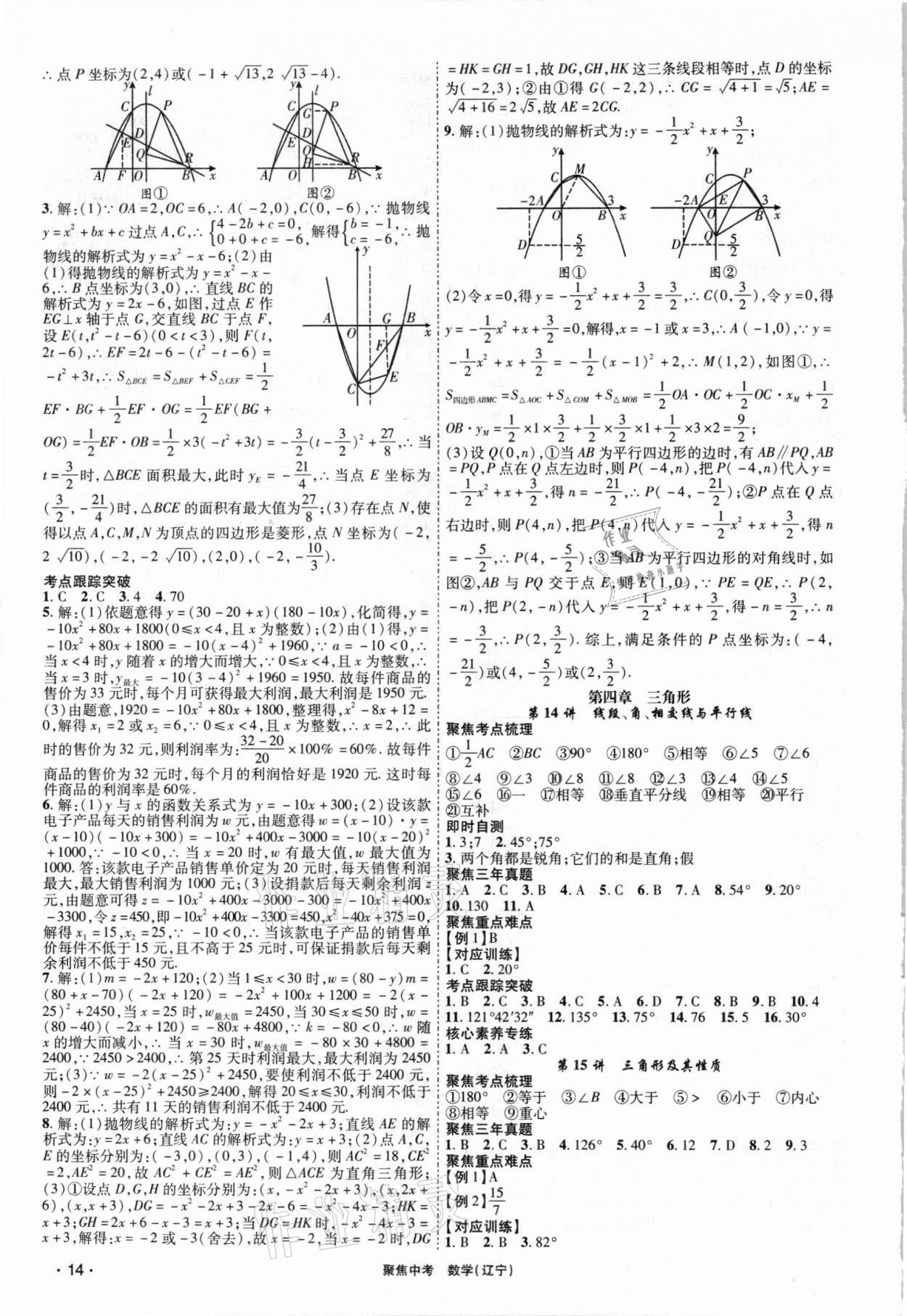 2021年聚焦中考數(shù)學遼寧專版 第14頁