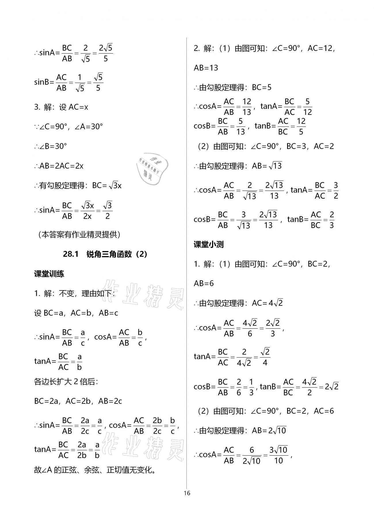 2021年初中數(shù)學(xué)活頁練習(xí)九年級(jí)下冊人教版 參考答案第16頁