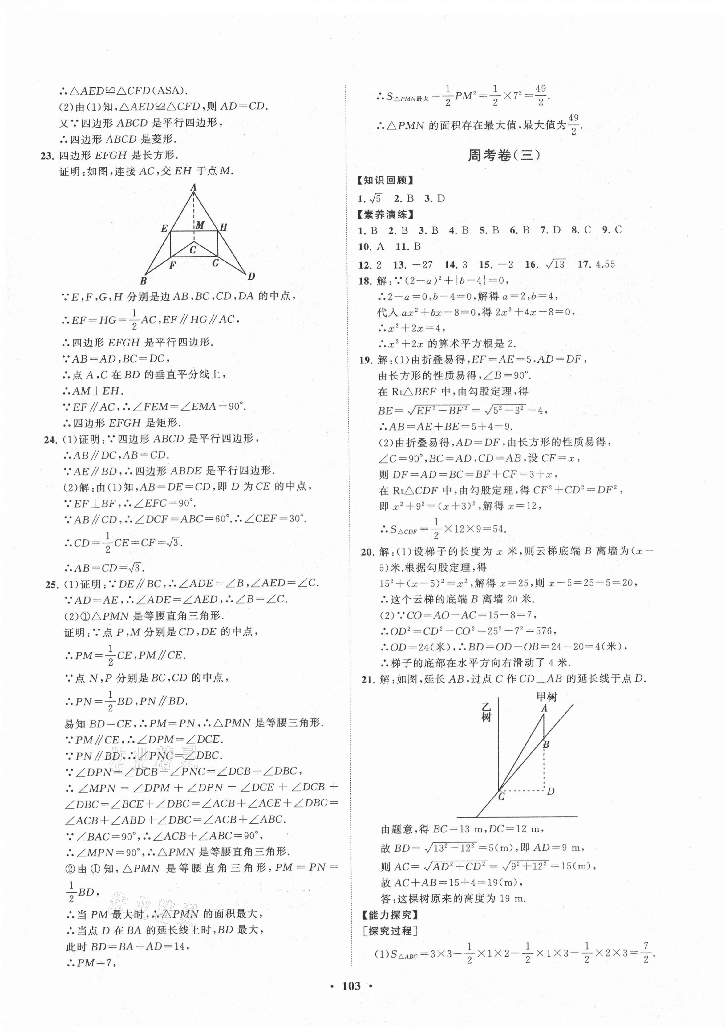 2021年初中同步练习册分层卷八年级数学下册青岛版 第3页