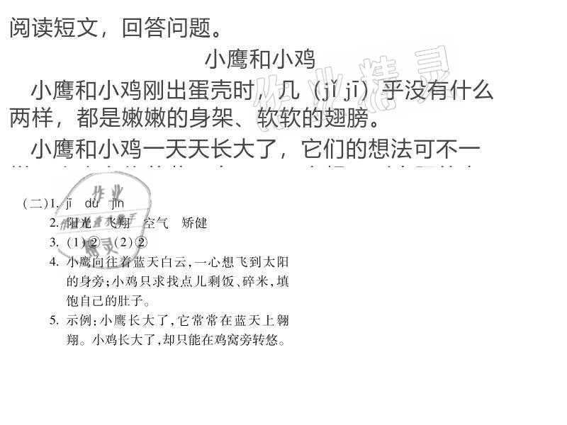 2020年世超金典育文乐园三年级上册人教版双色版 参考答案第9页