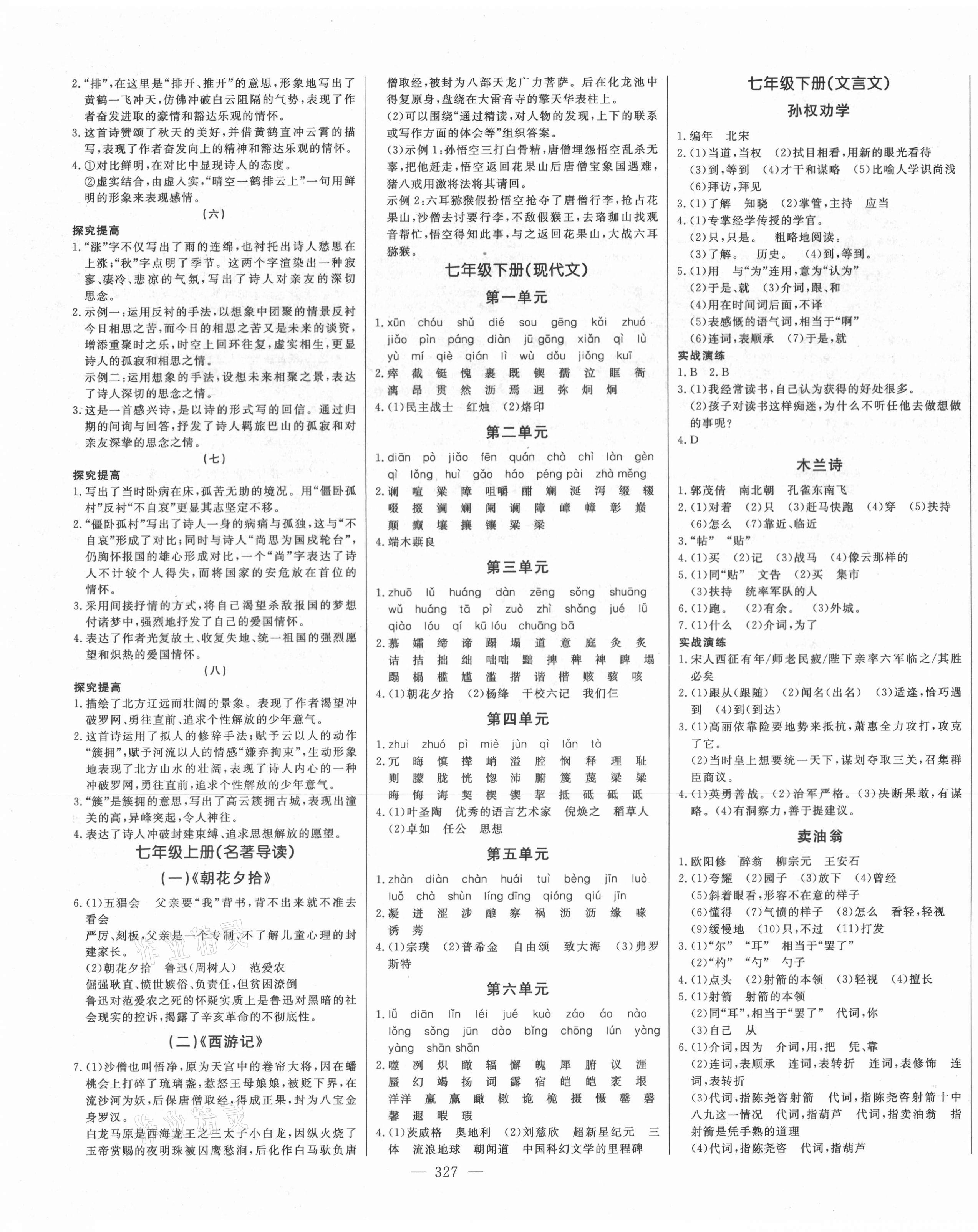 2021年智慧大課堂學(xué)業(yè)總復(fù)習(xí)全程精練語(yǔ)文中考人教版 第3頁(yè)