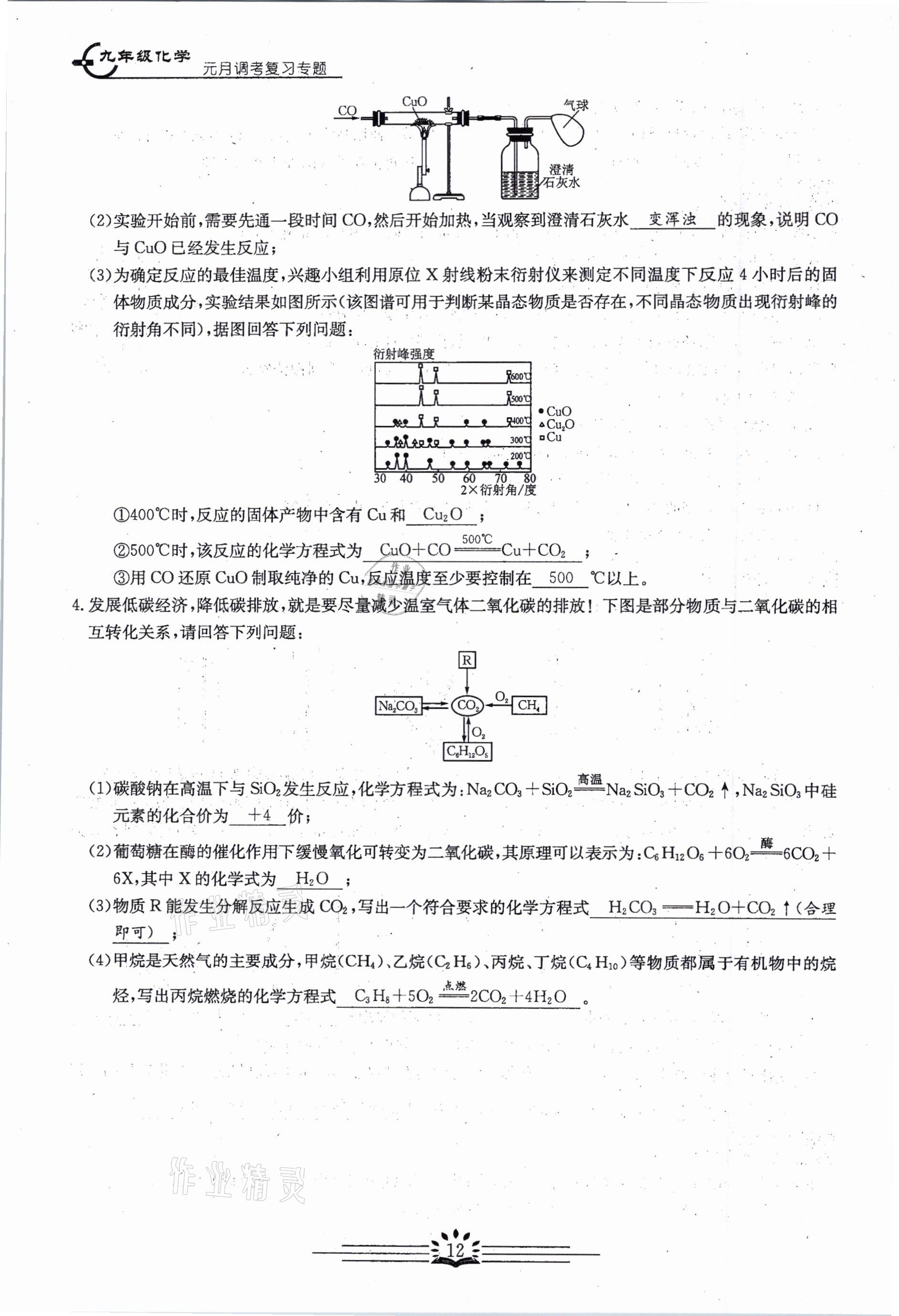 2021年思維新觀察元調專題復習化學中考人教版 參考答案第12頁