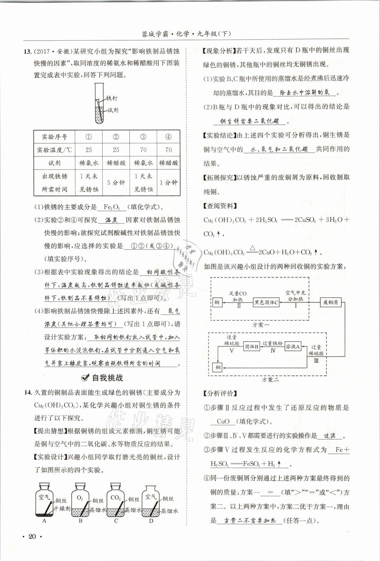 2021年蓉城學(xué)霸九年級(jí)化學(xué)下冊(cè)人教版 第20頁(yè)