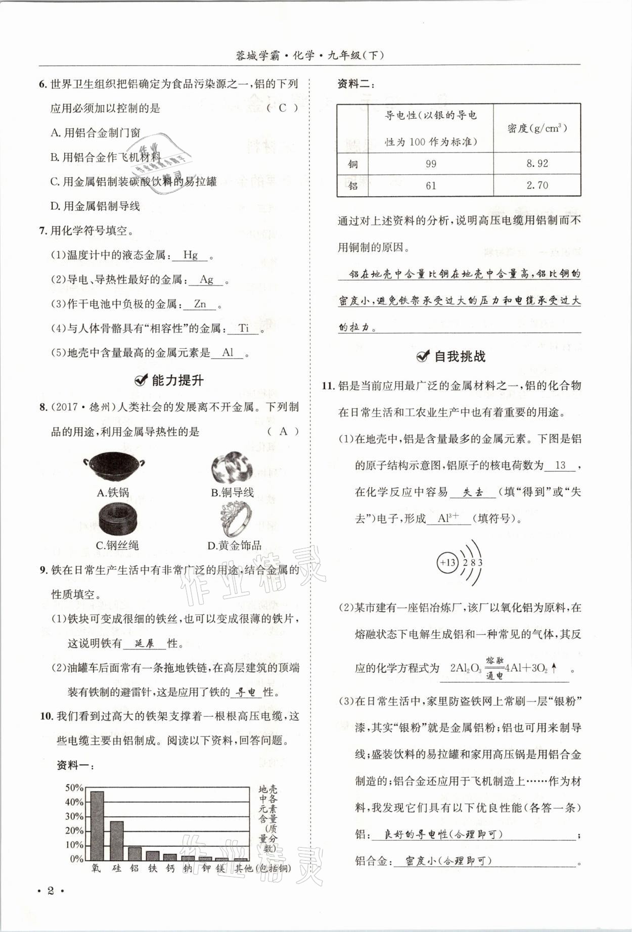 2021年蓉城學(xué)霸九年級化學(xué)下冊人教版 第2頁