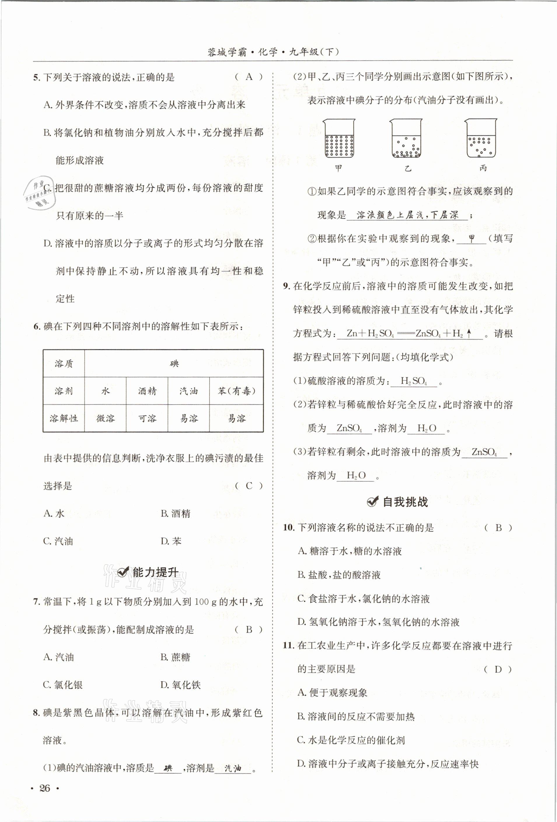 2021年蓉城学霸九年级化学下册人教版 第26页