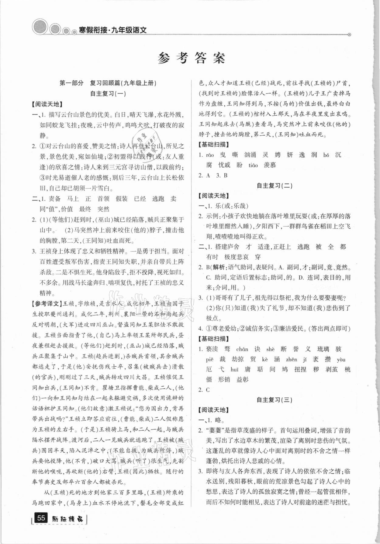 2021年寒假銜接九年級(jí)語(yǔ)文人教版延邊人民出版社 參考答案第1頁(yè)