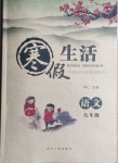 2021年寒假生活九年級語文中學知識點專項練習河北人民出版社