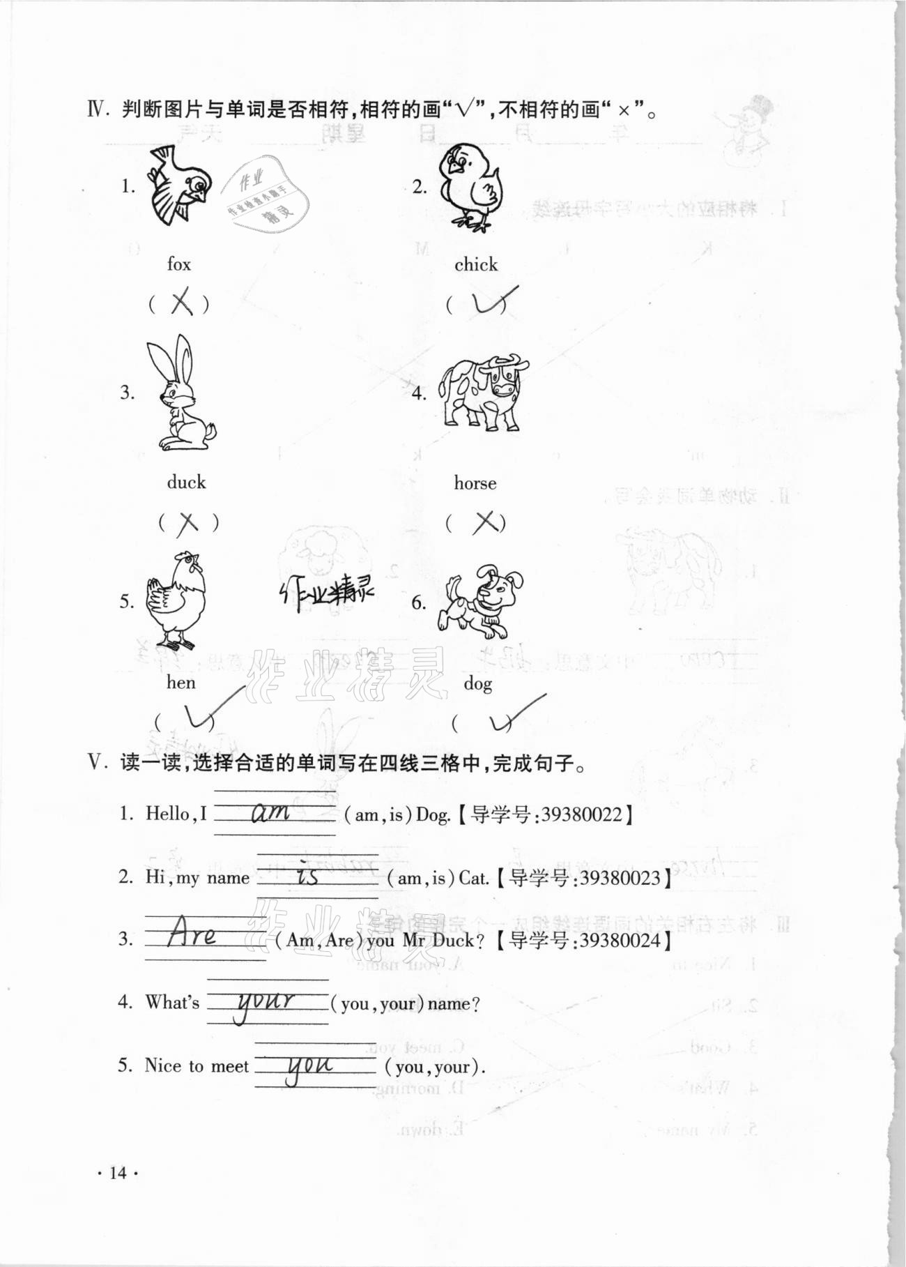 2021年世超金典假期乐园寒假三年级英语 第14页