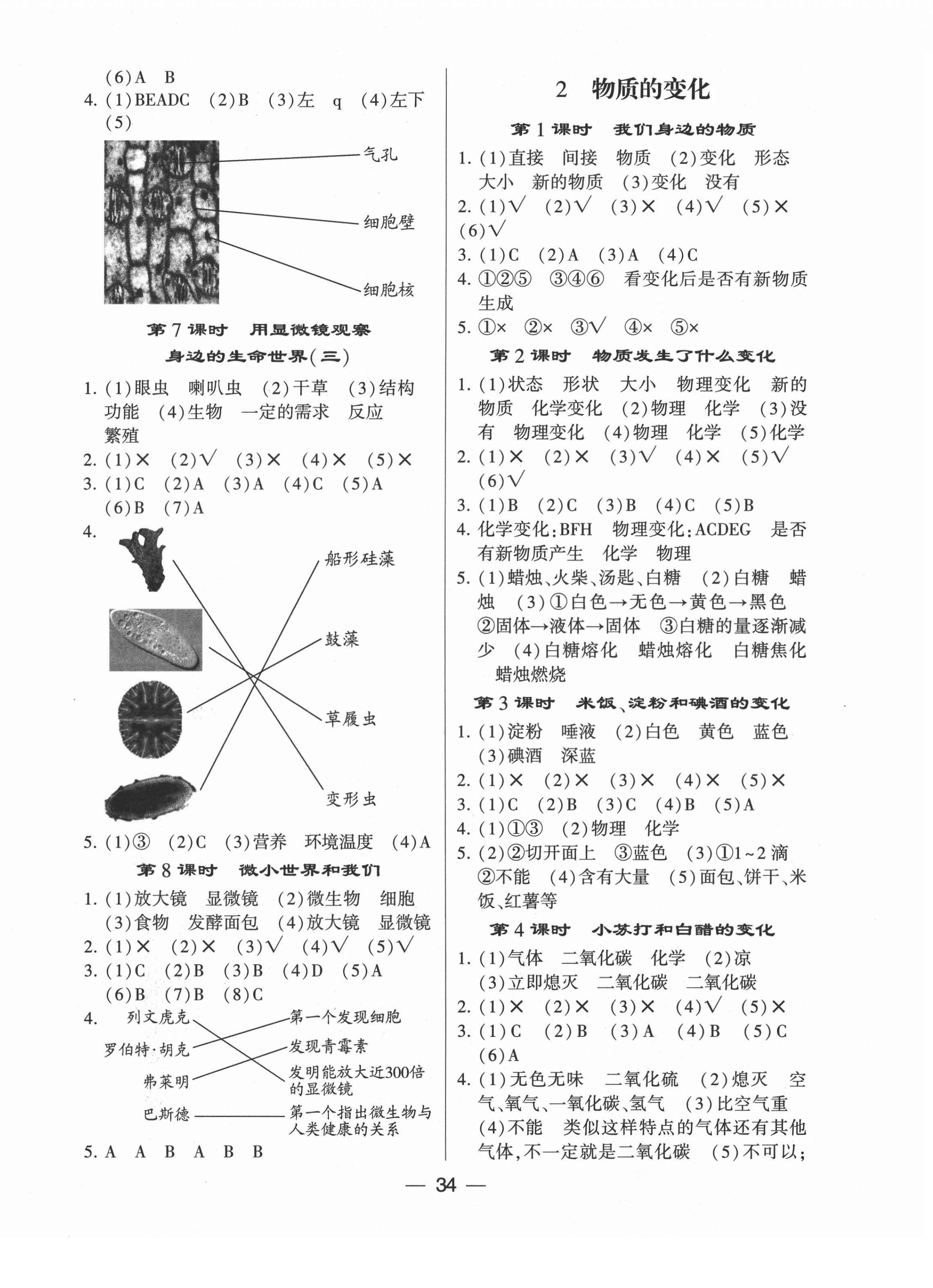 2021年經(jīng)綸學典棒棒堂六年級科學下冊教科版 第2頁