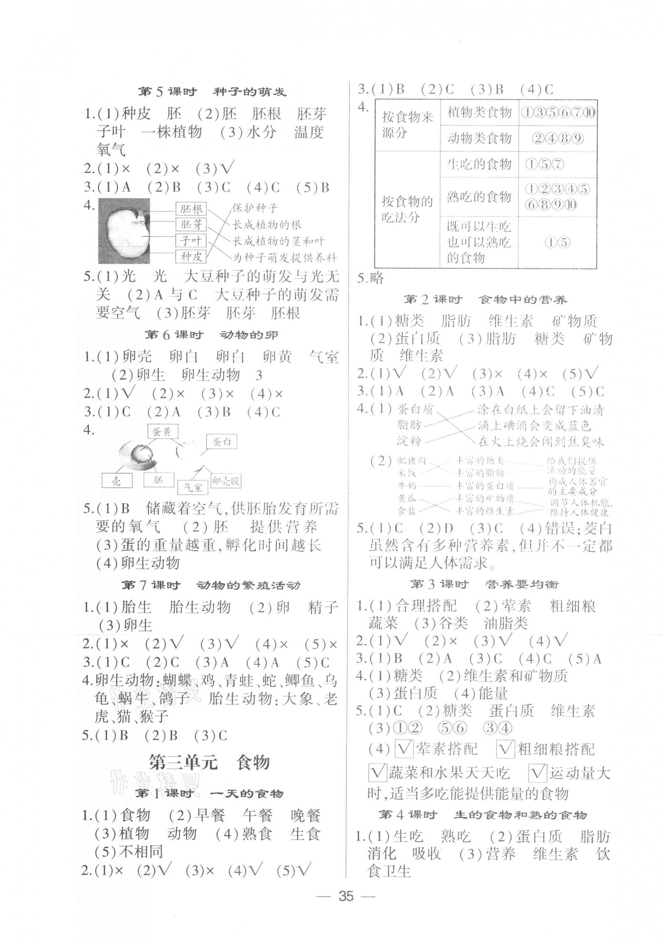 2021年經綸學典棒棒堂四年級科學下冊教科版 第3頁