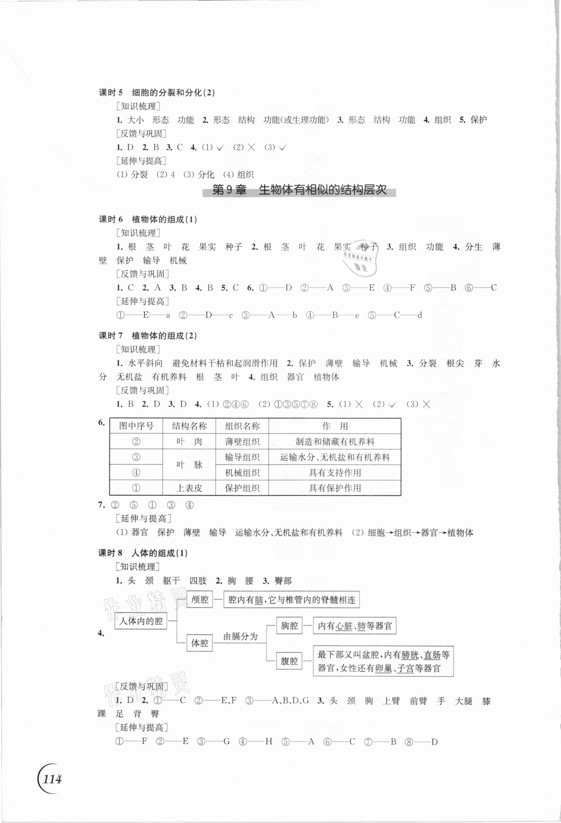 2021年同步练习江苏七年级生物下册苏科版 第2页