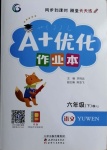 2021年A加優(yōu)化作業(yè)本六年級語文下冊人教版江西專版