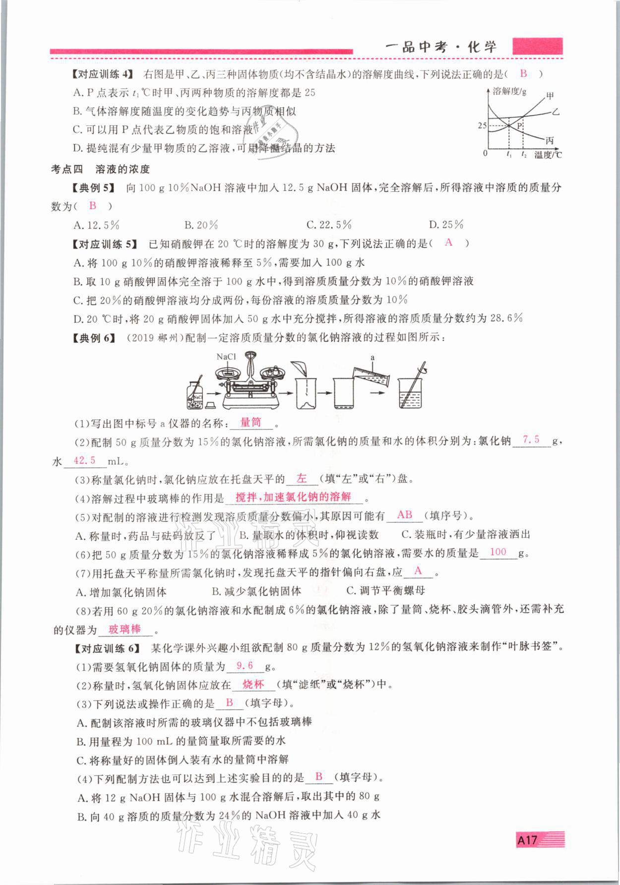 2021年新動力一品中考化學(xué)螺旋復(fù)習(xí)法 參考答案第17頁