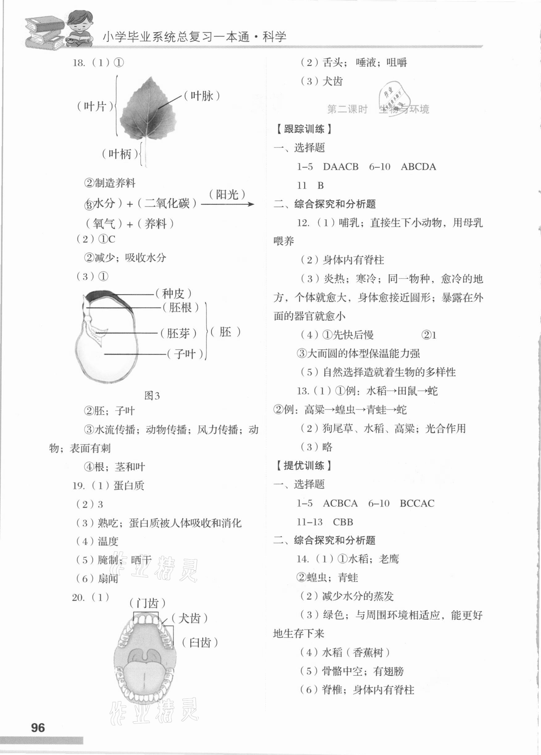 2021年小學(xué)畢業(yè)系統(tǒng)總復(fù)習(xí)一本通科學(xué) 第2頁