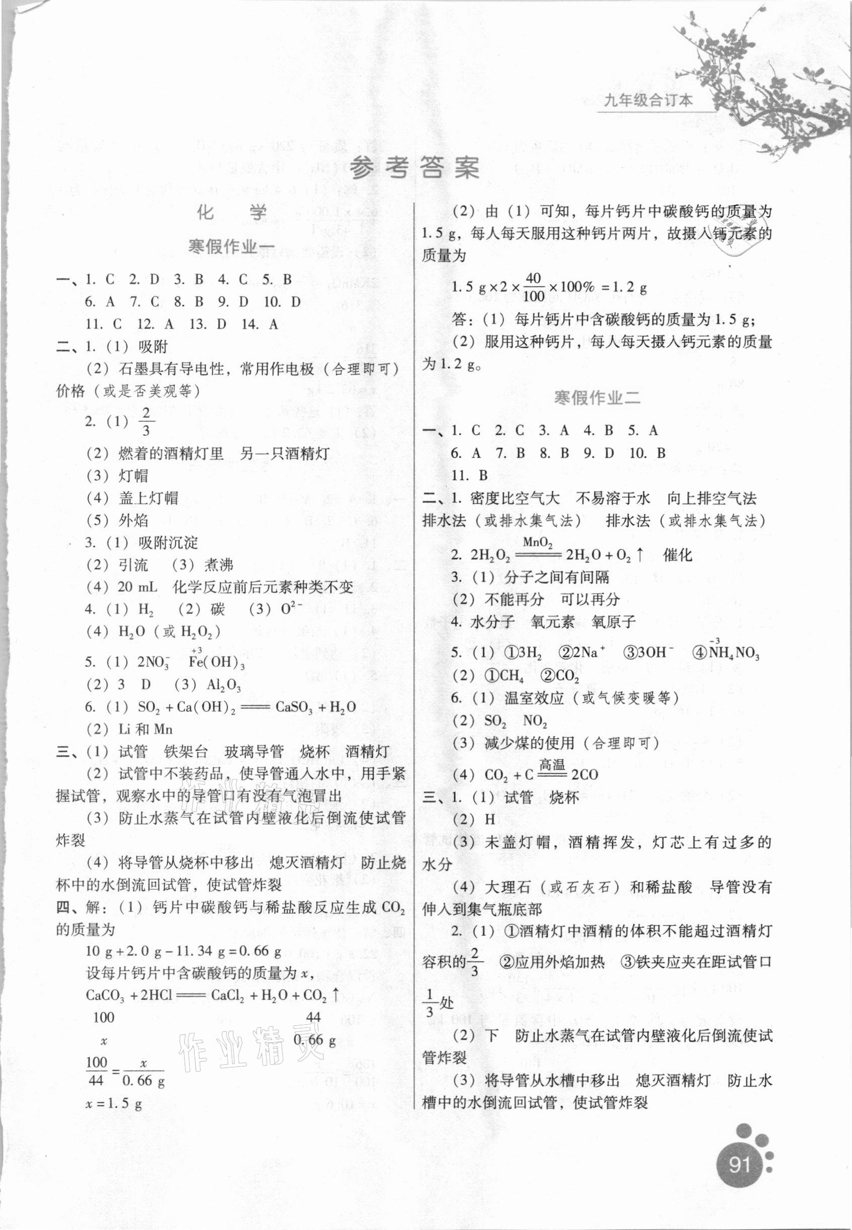 2021年寒假生活九年級(jí)合訂本河北少年兒童出版社 第1頁