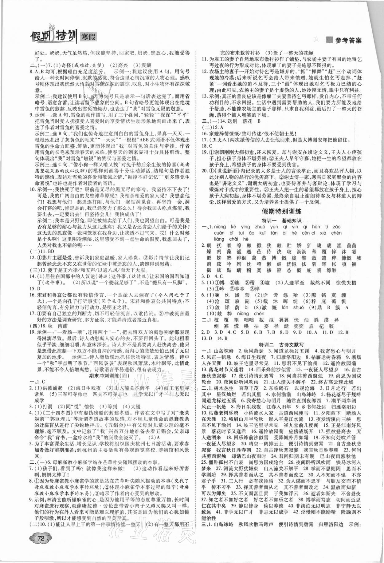 2021年假期特訓(xùn)學(xué)期總復(fù)習(xí)七年級(jí)語文 第2頁(yè)