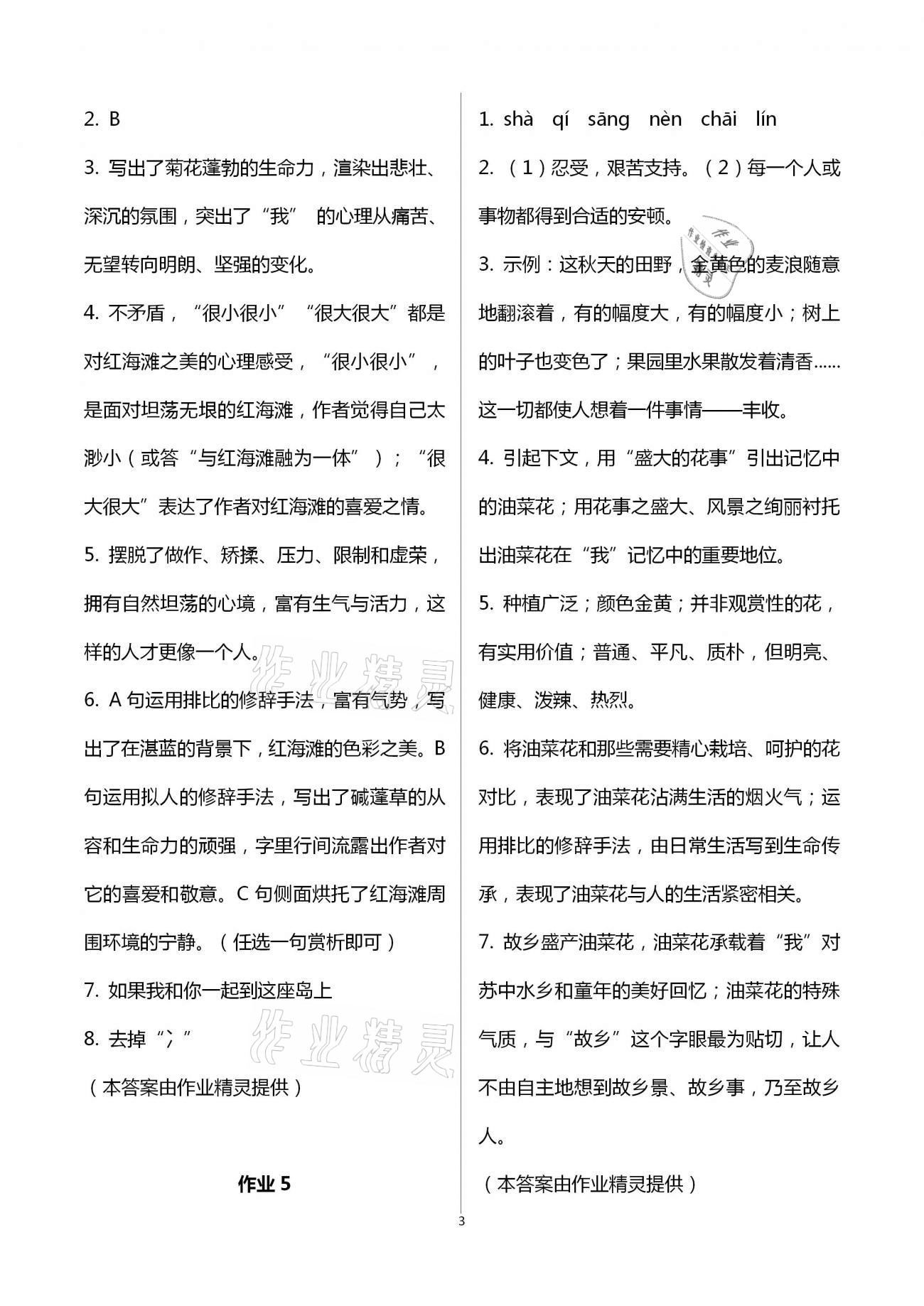 2021年名師講壇智趣冬令營(yíng)基礎(chǔ)與閱讀七年級(jí)通用版 第3頁(yè)