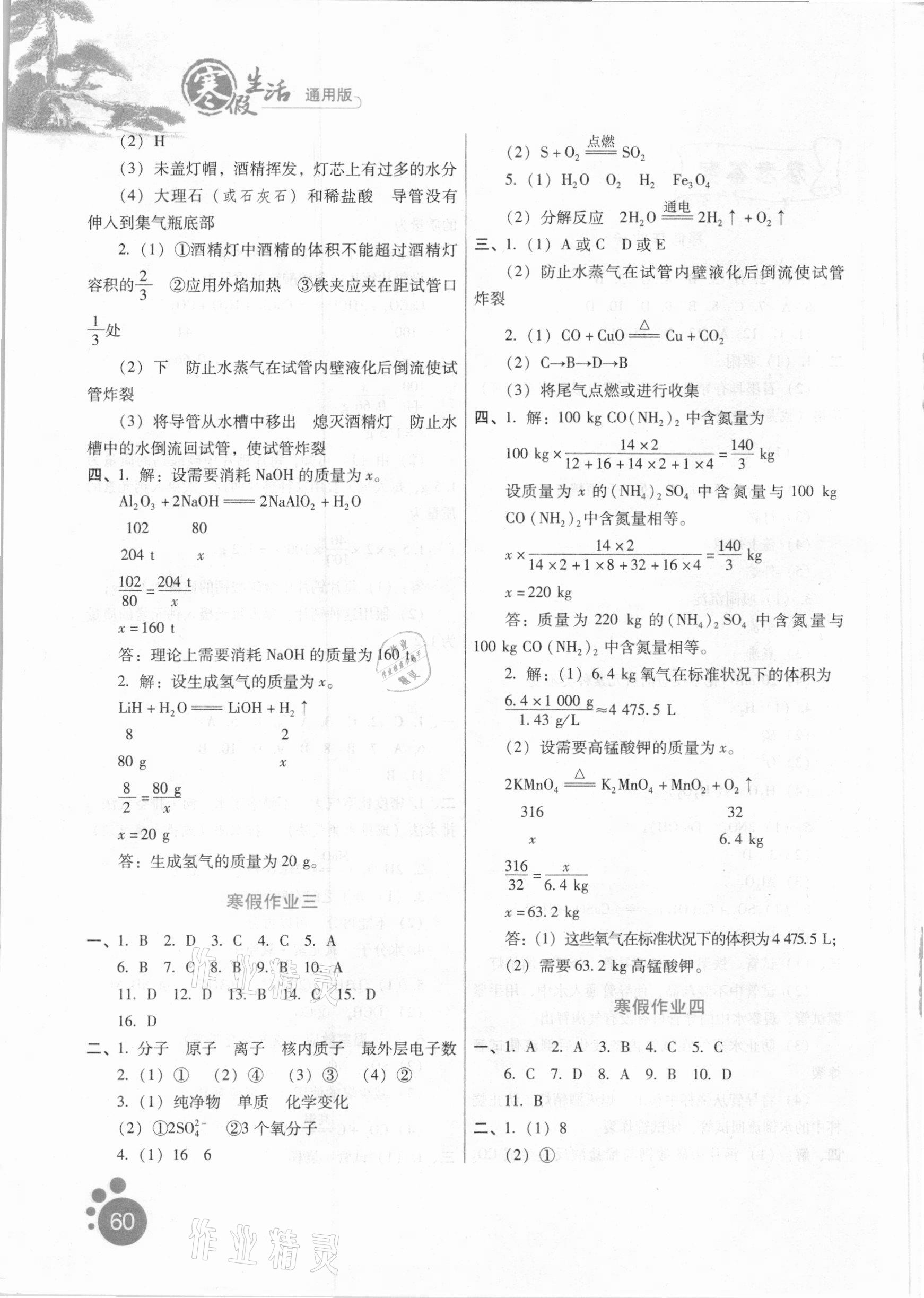 2021年寒假生活九年级化学河北少年儿童出版社 参考答案第2页