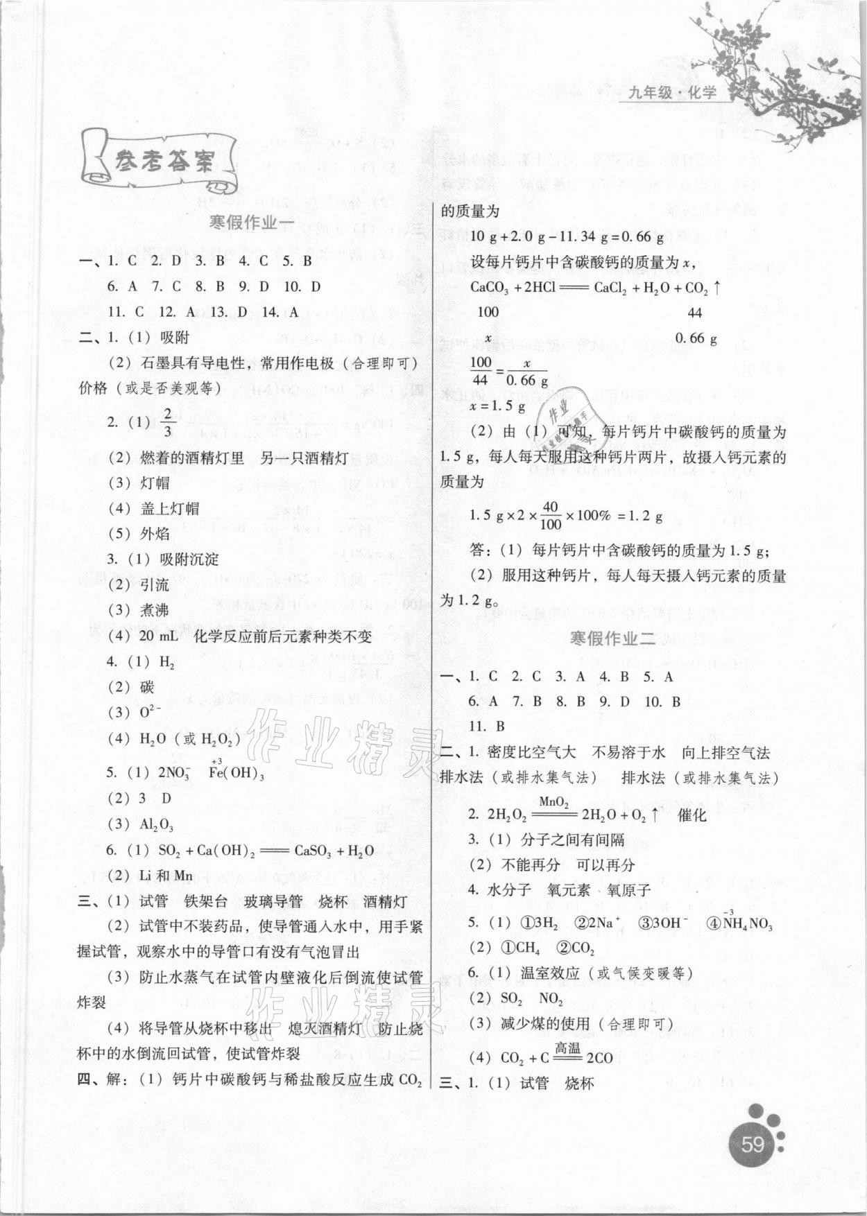 2021年寒假生活九年级化学河北少年儿童出版社 参考答案第1页