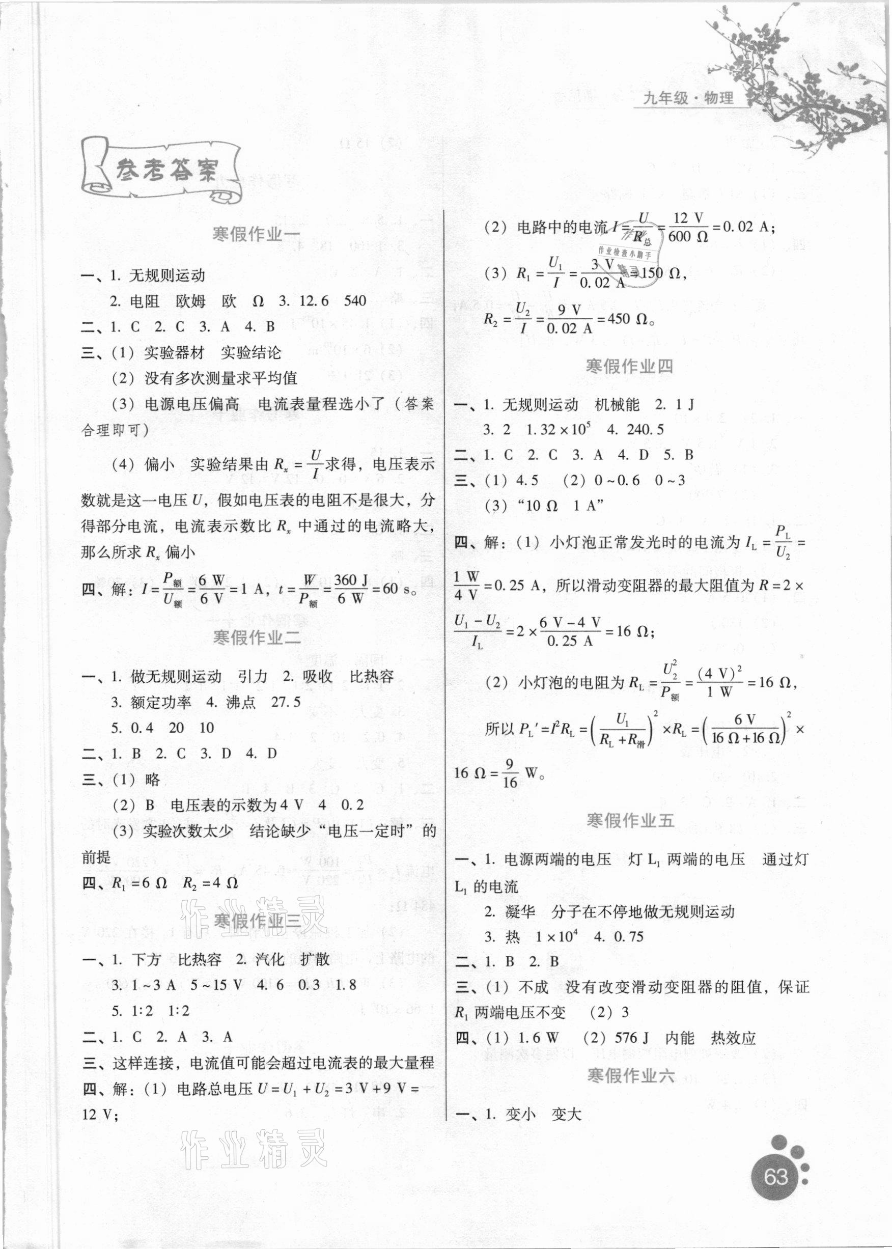 2021年寒假生活九年级物理河北少年儿童出版社 第1页