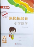 2021年強(qiáng)化拓展卷小學(xué)數(shù)學(xué)六年級(jí)下冊(cè)蘇教版提優(yōu)版