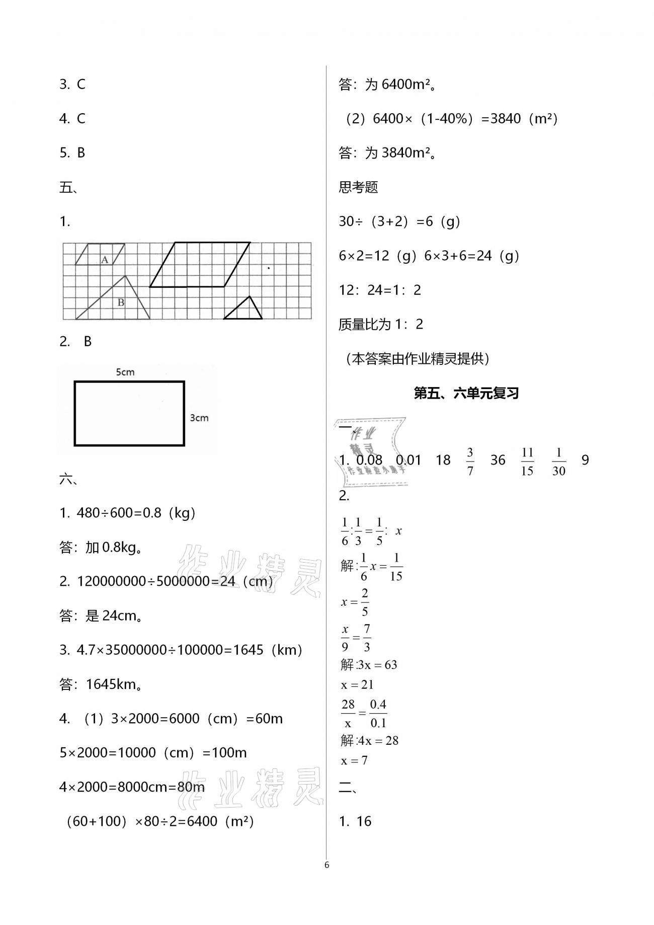 强化卷（第五、六单元复习） - 参考答案第6页