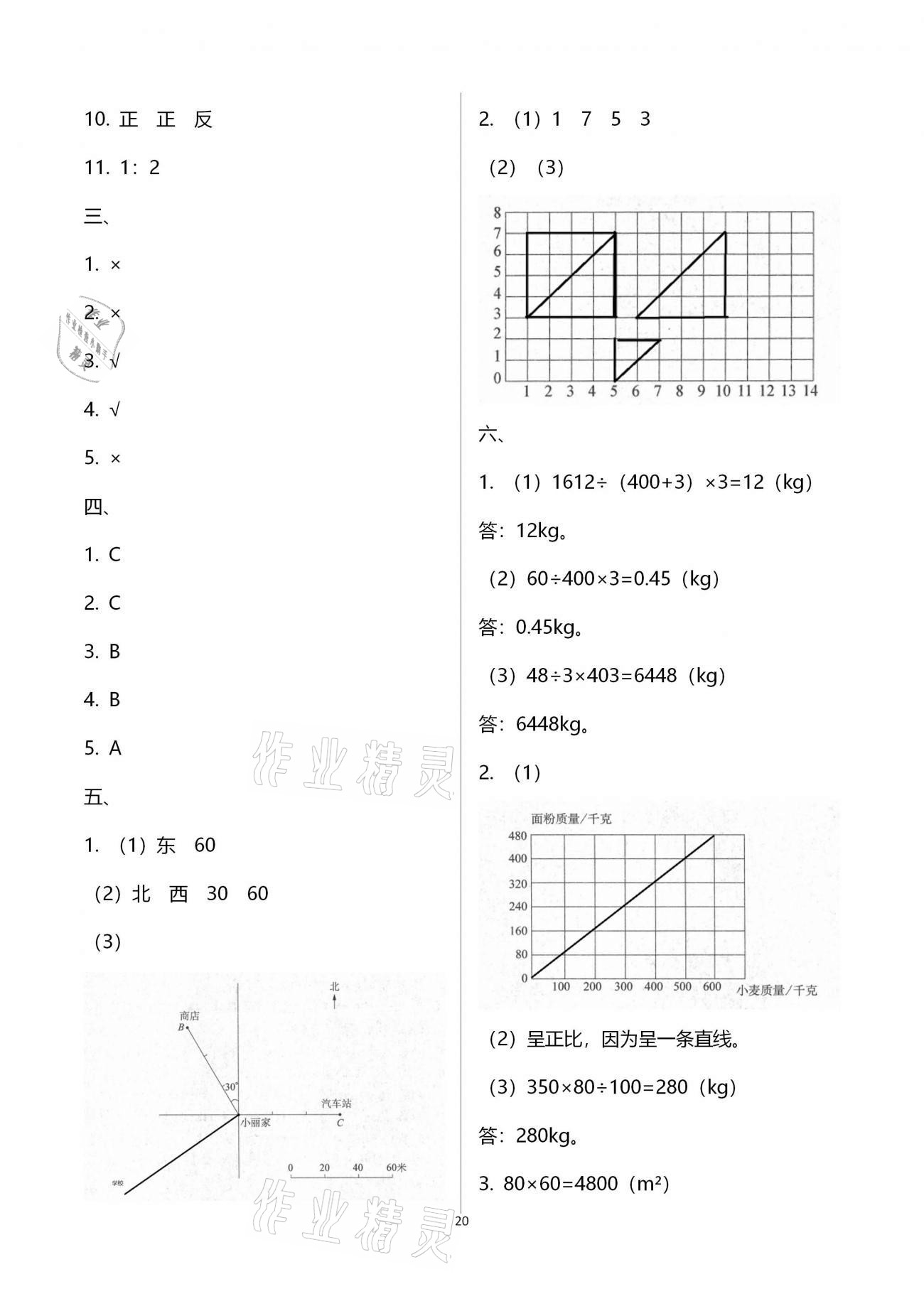 拓展卷（第四至六单元复习） - 参考答案第20页