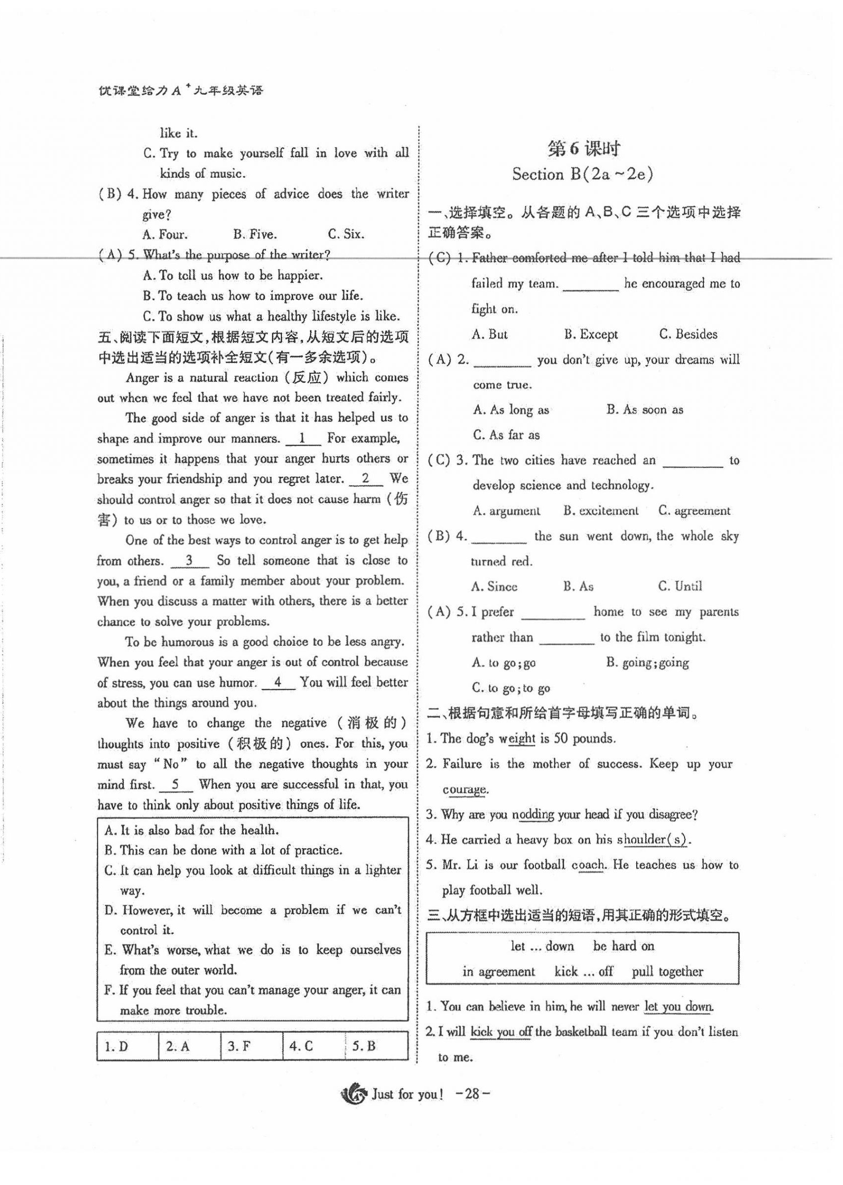 2021年優(yōu)課堂給力A加九年級英語下冊人教版 第28頁